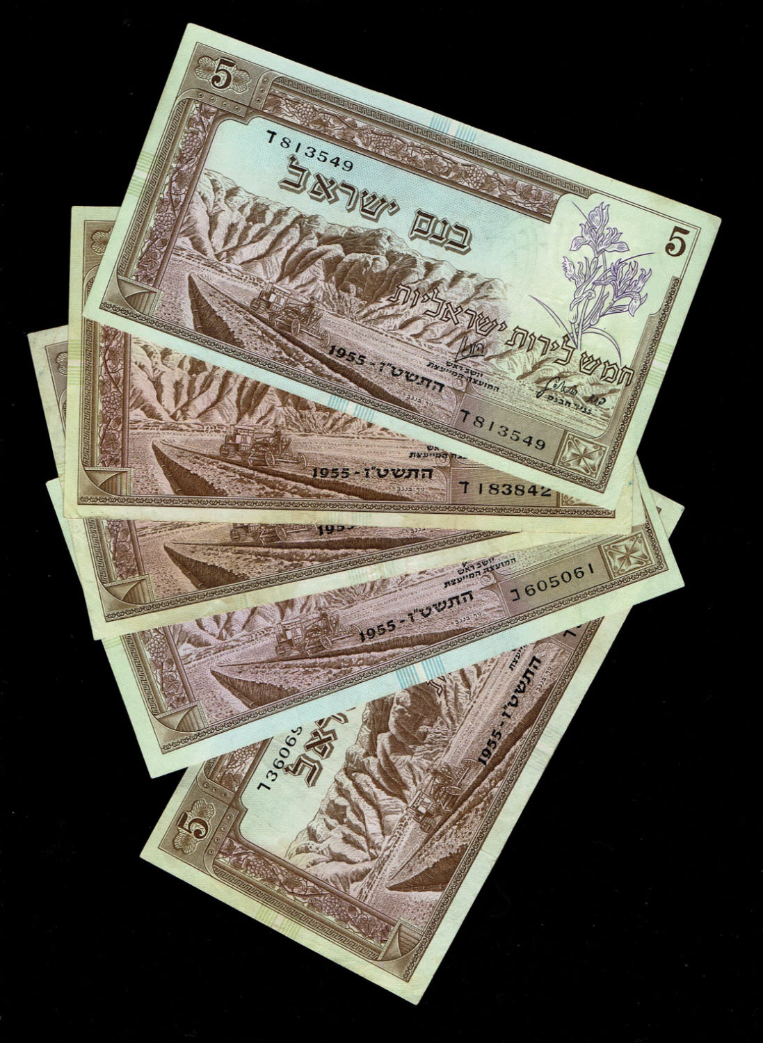 Israel - Lot of 5 banknotes of 5 Lirot 1955 - VF
In 1954, the Bank of Israel was founded and began ... - 1 0