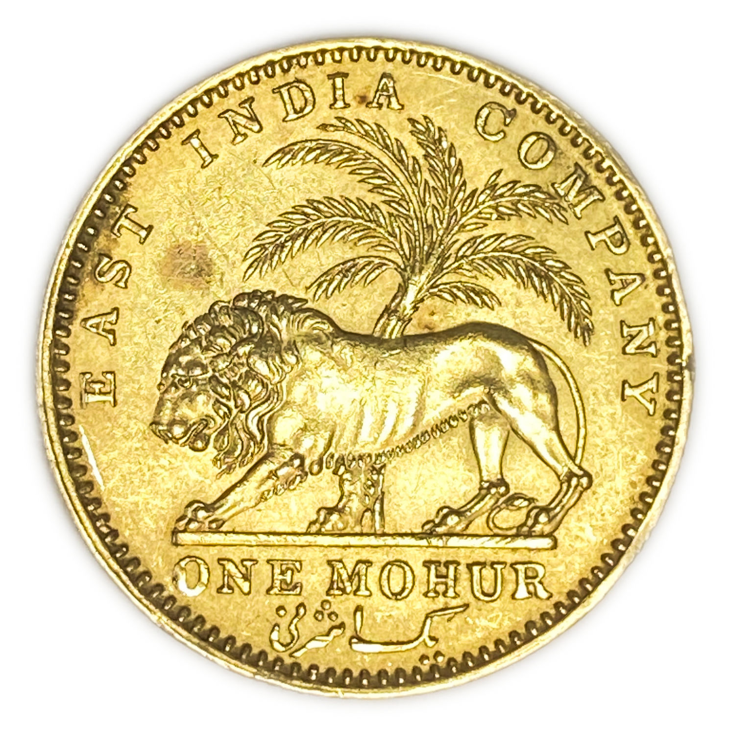 India / British India - 1 Mohur 1841 - East India Company rupee - 917 gold, 11.62 g, 26 mm - rare in its ... - 1 0