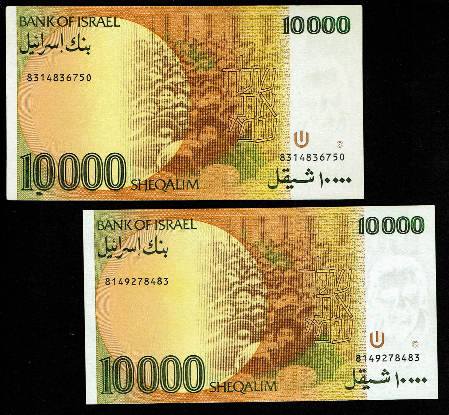 Israel - Pair banknotes of 10,000 Shekels 1984 - UNC
The shekel series replaced the Israeli pound ... - 1 1