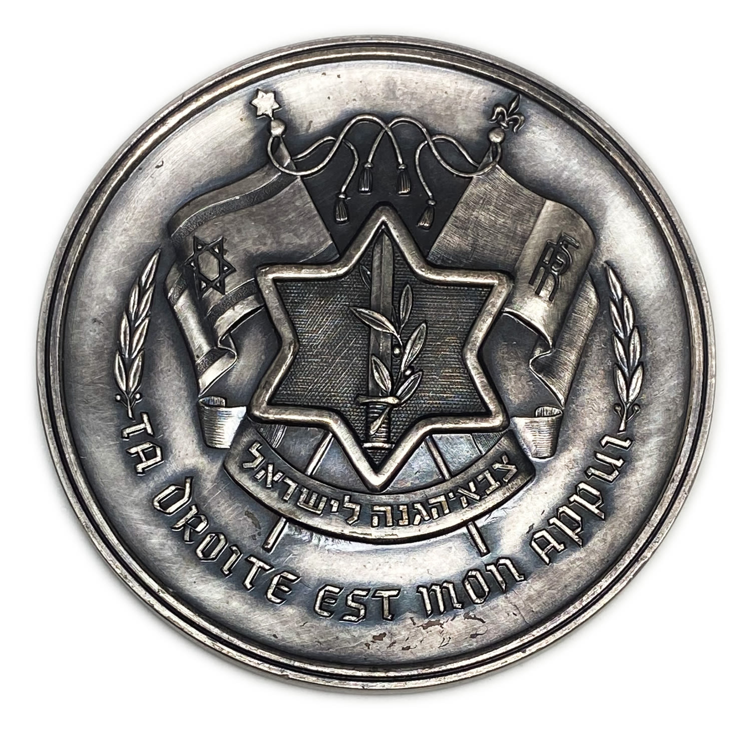 Judaica / Zionism - Israel - the first medal issued by the State of Israel to 34 French officers who ... - 1 0