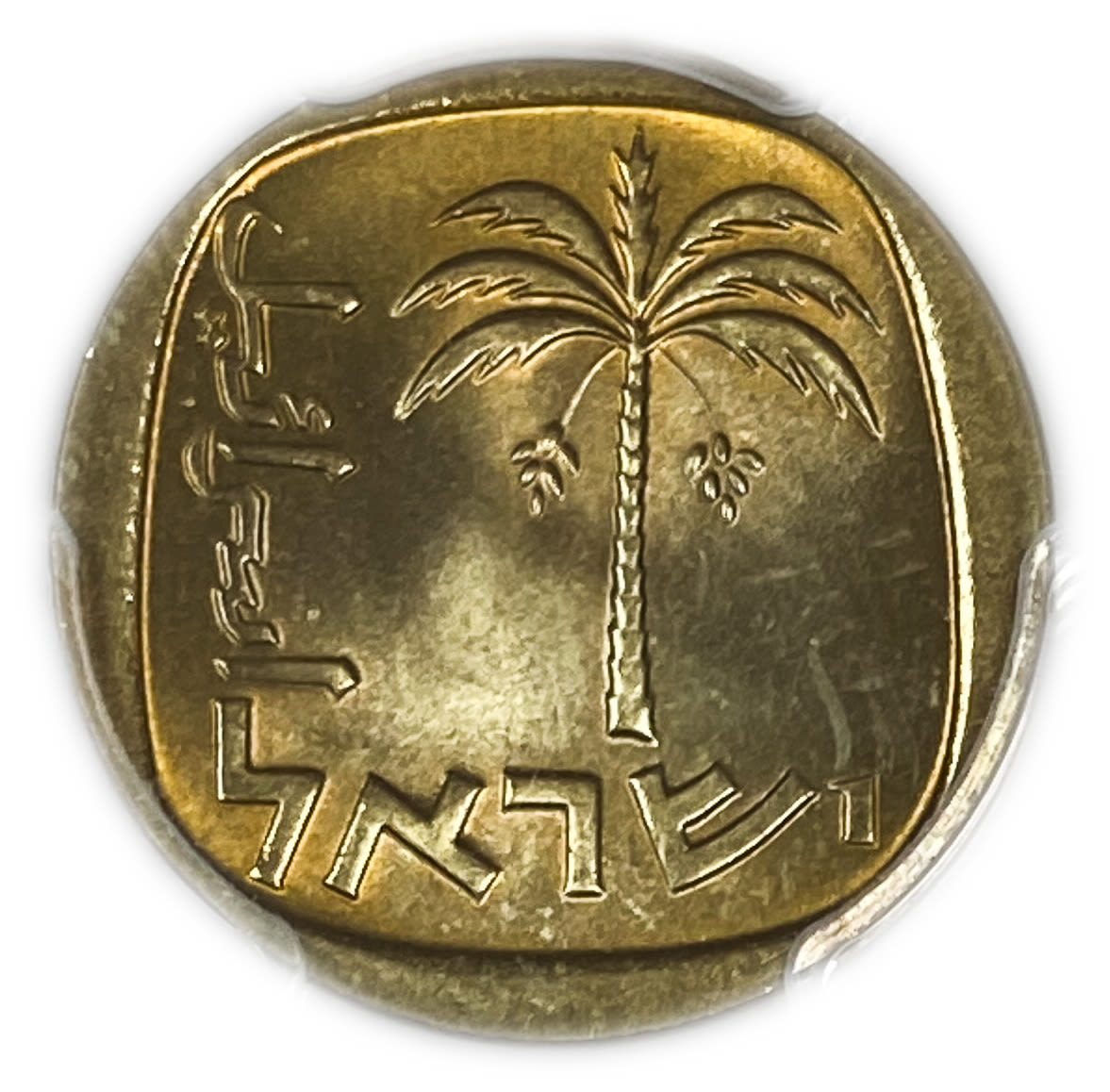 Israel - 10 Agorot 1964 - PCGS 65
Obverse:Palm tree; "Israel" in Hebrew and Arabic.
... - 1 1