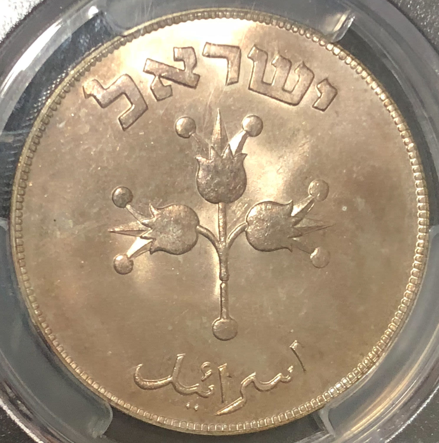 Israel - 1949 500 pruta. - 1 1
