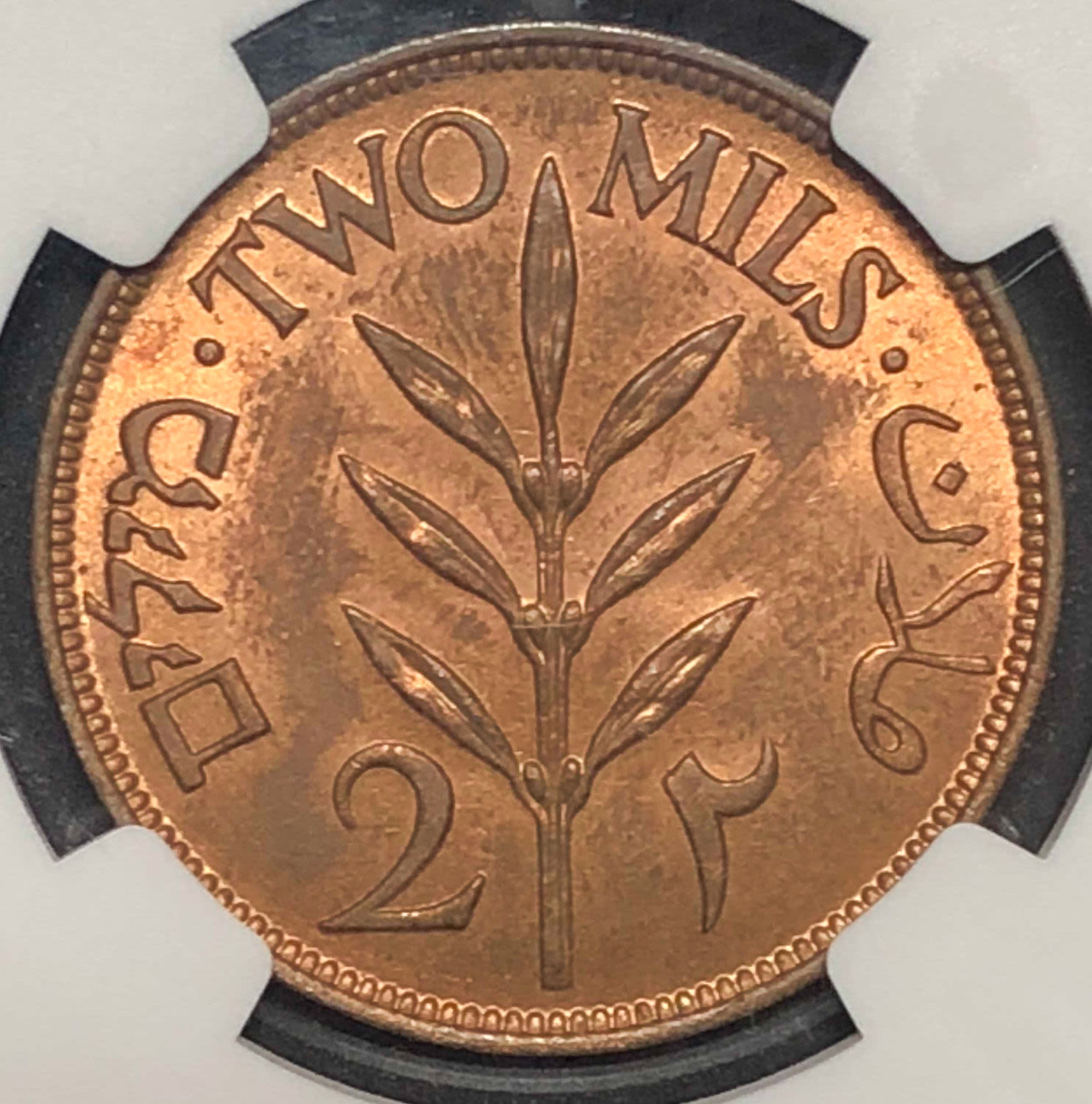 Palestine - 2 mil 1941. - 1 1
