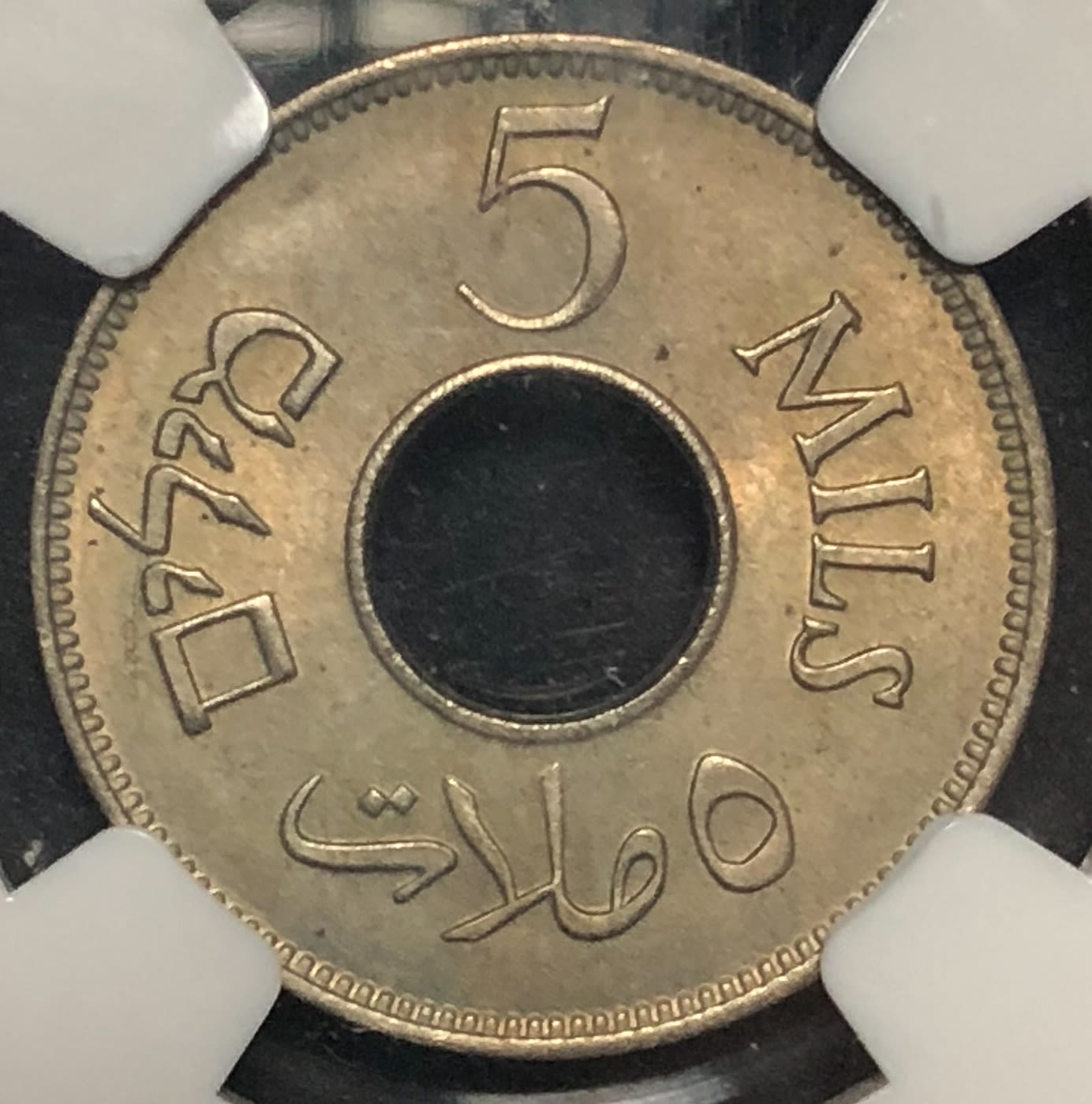 Palestine - 5 mil 1941. - 1 1