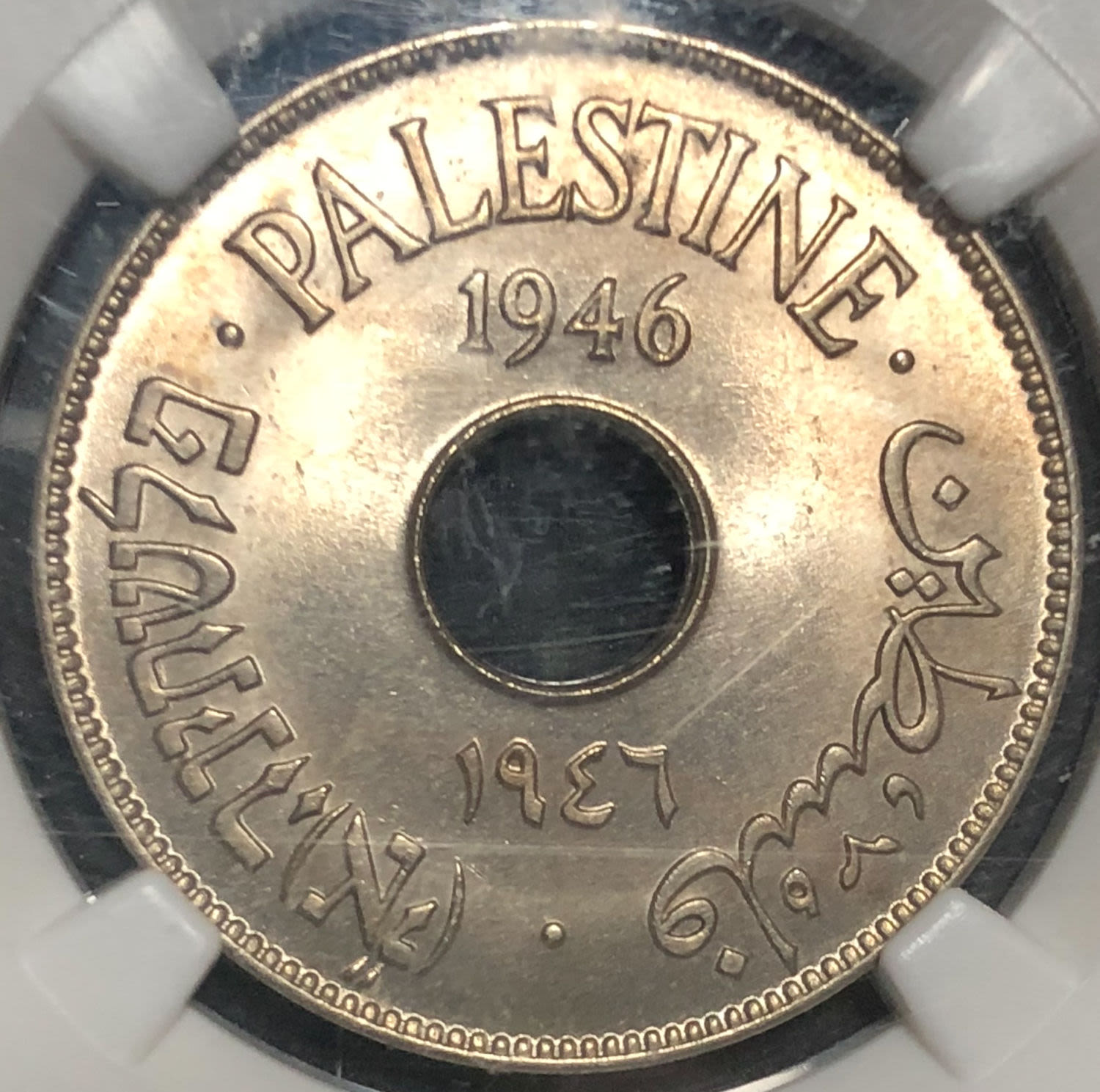 Palestine - 10 mils 1946. - 1 0