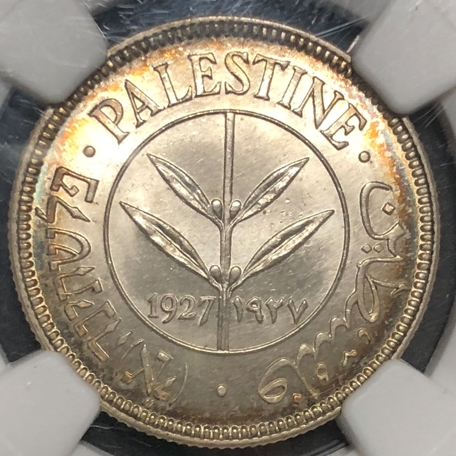 Palestine - 50 mils 1927. - 1 0