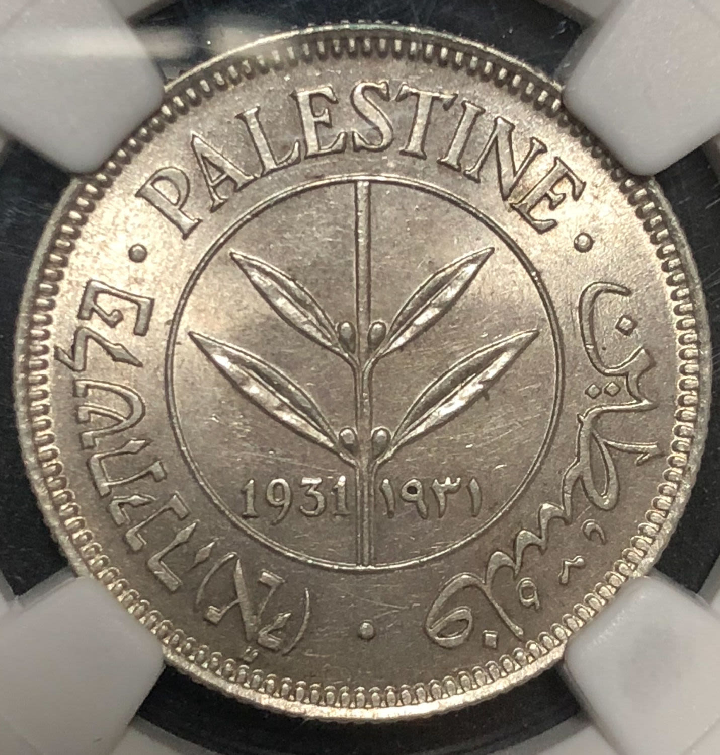 Palestine - 50 mils 1931. - 1 0