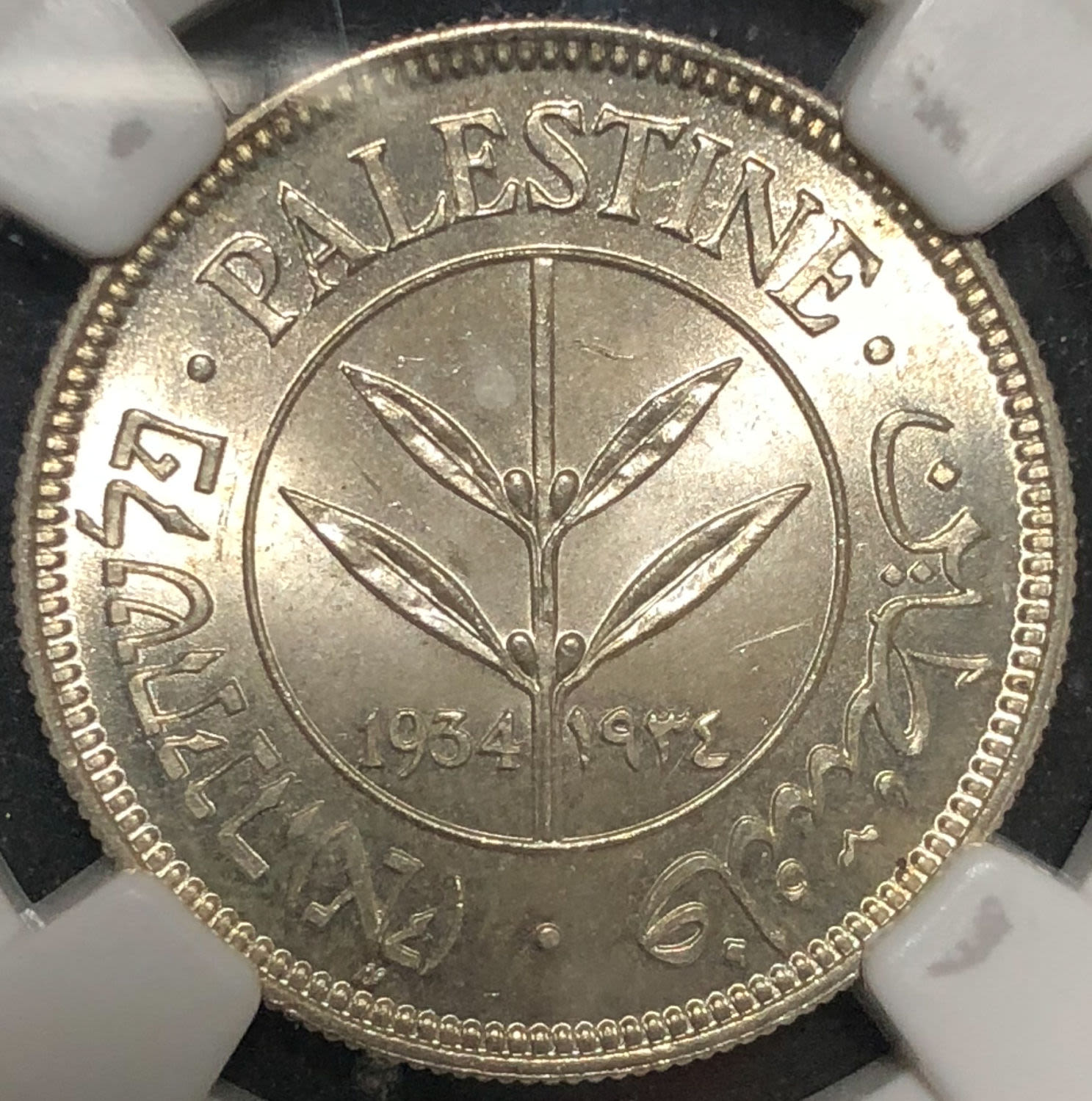 Palestine - 50 mils 1934. - 1 0