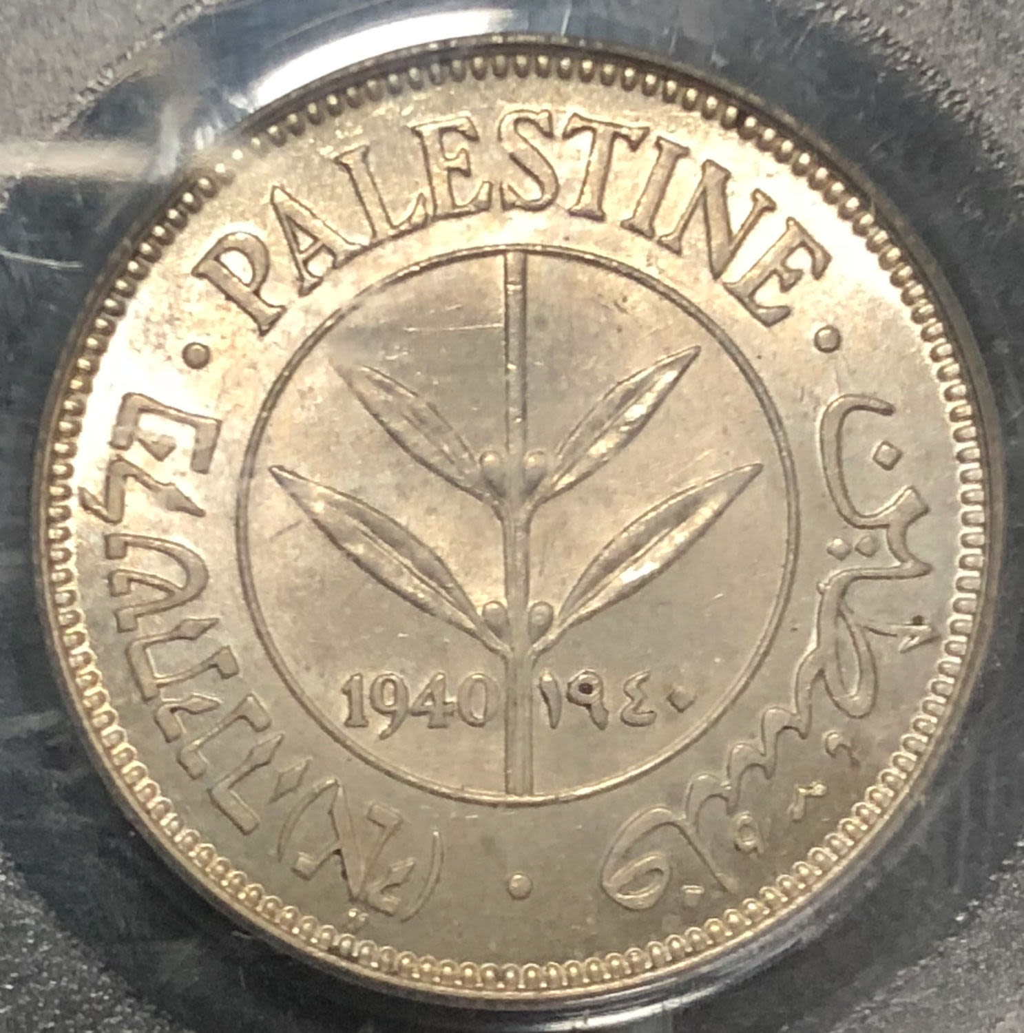 Palestine - 50 mils 1940. - 1 0