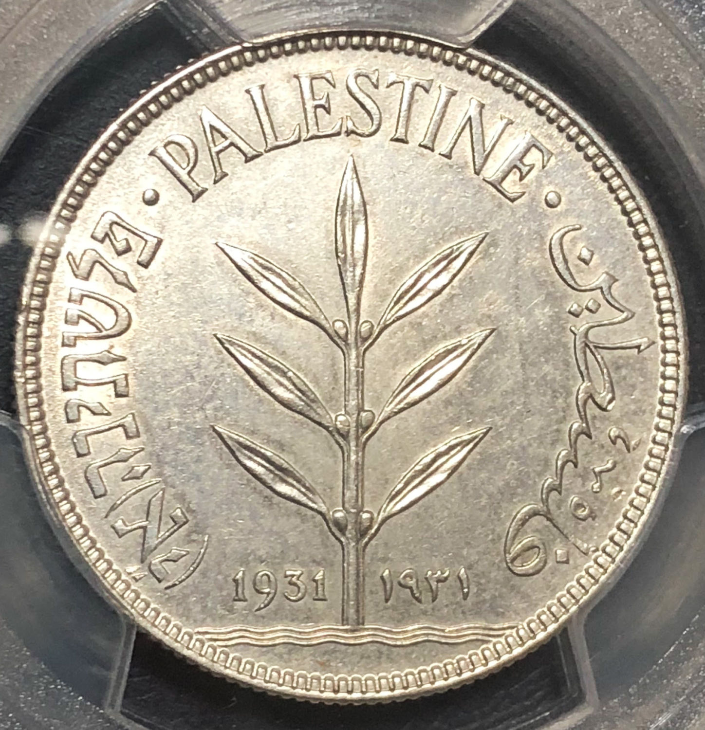 Palestine - 100 mils 1931. - 1 0