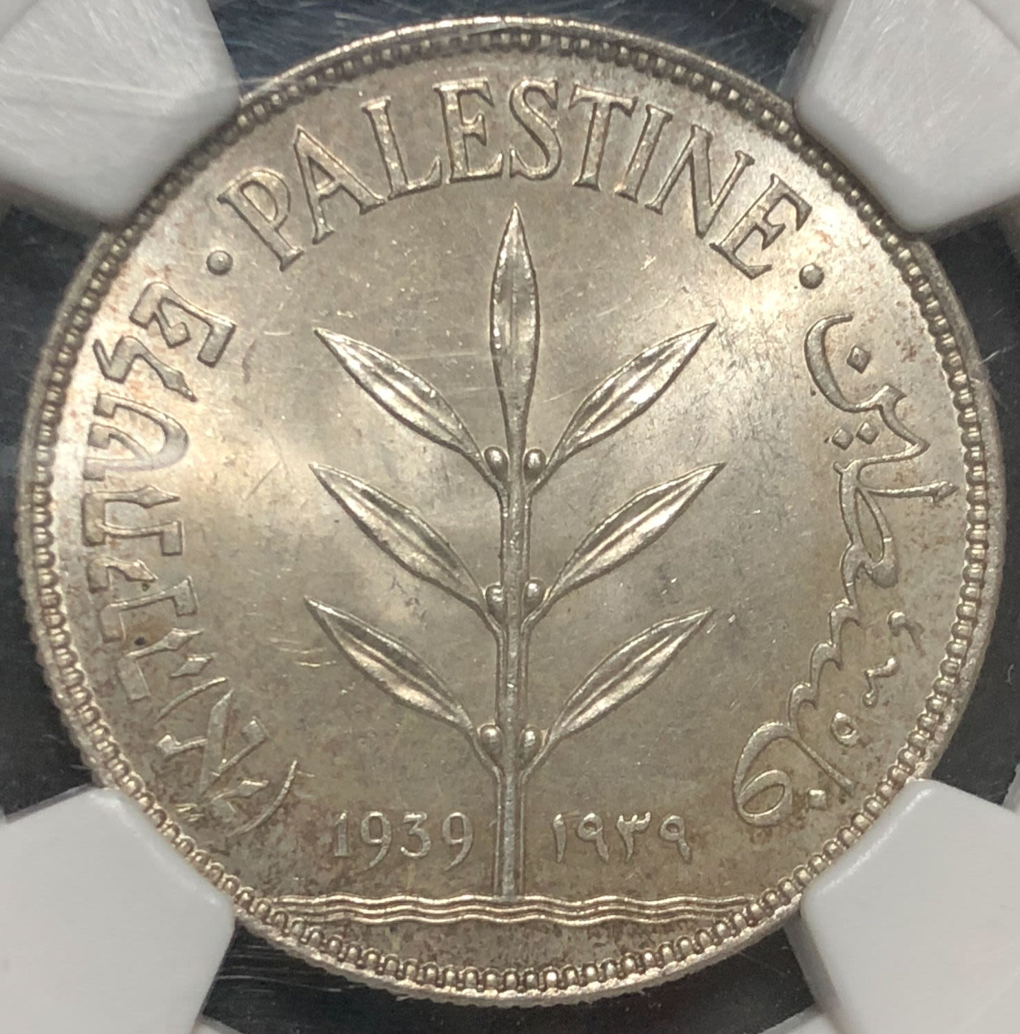 Palestine - 100 mils 1939. - 1 0
