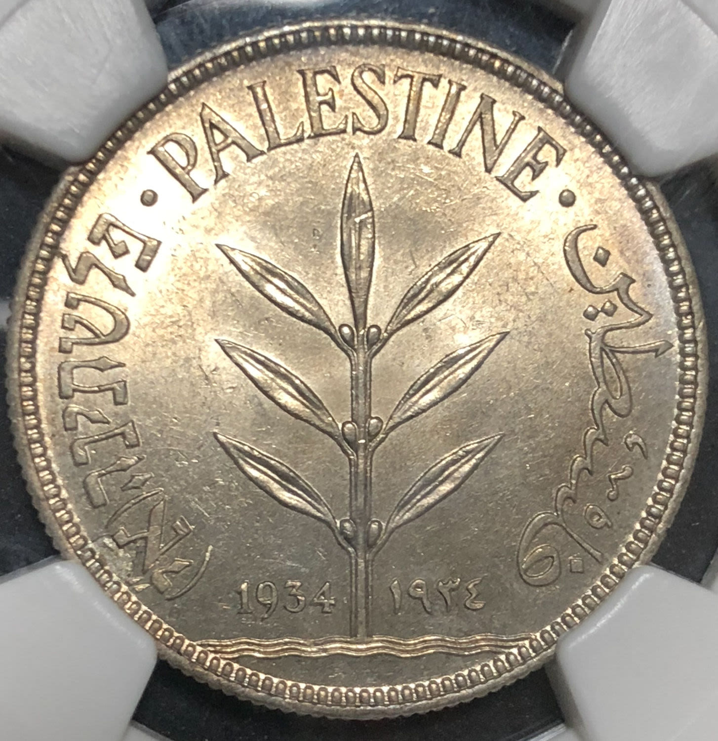 Palestine - 100 mils 1934. - 1 0