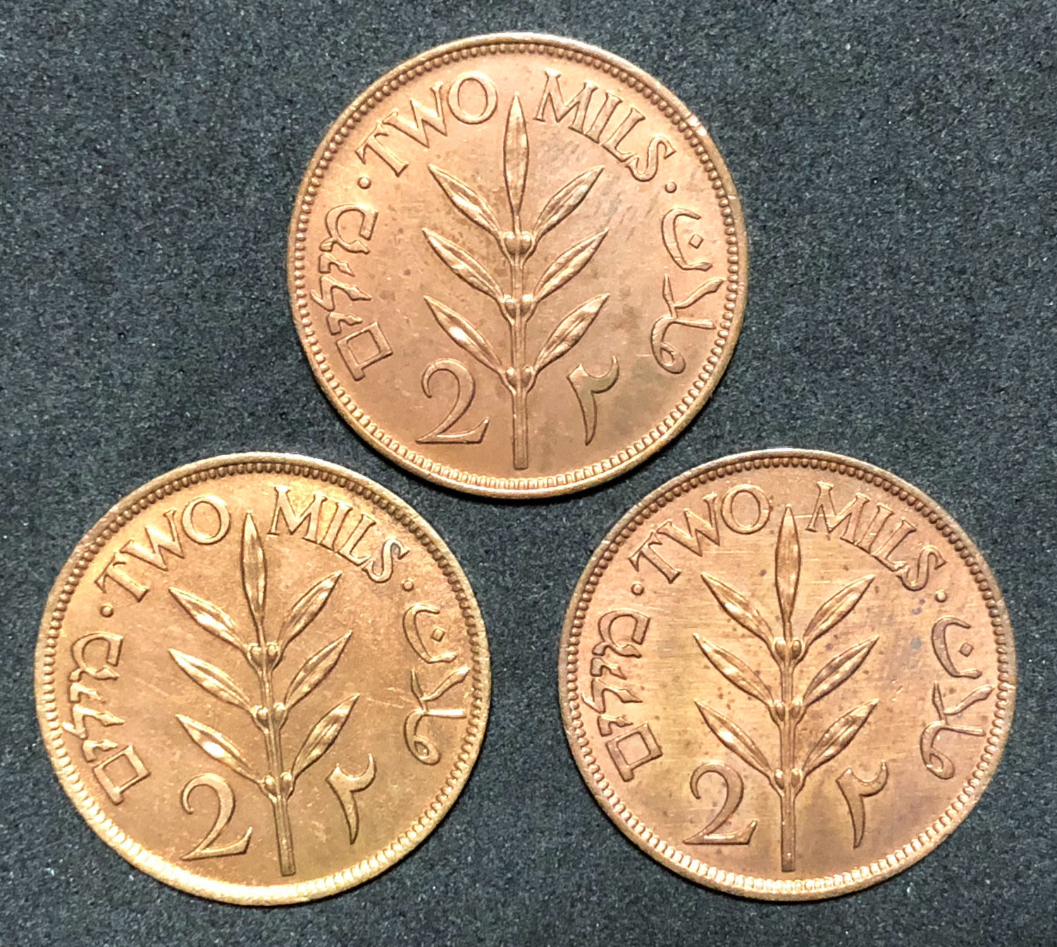 Palestine - lot 2 mils coins