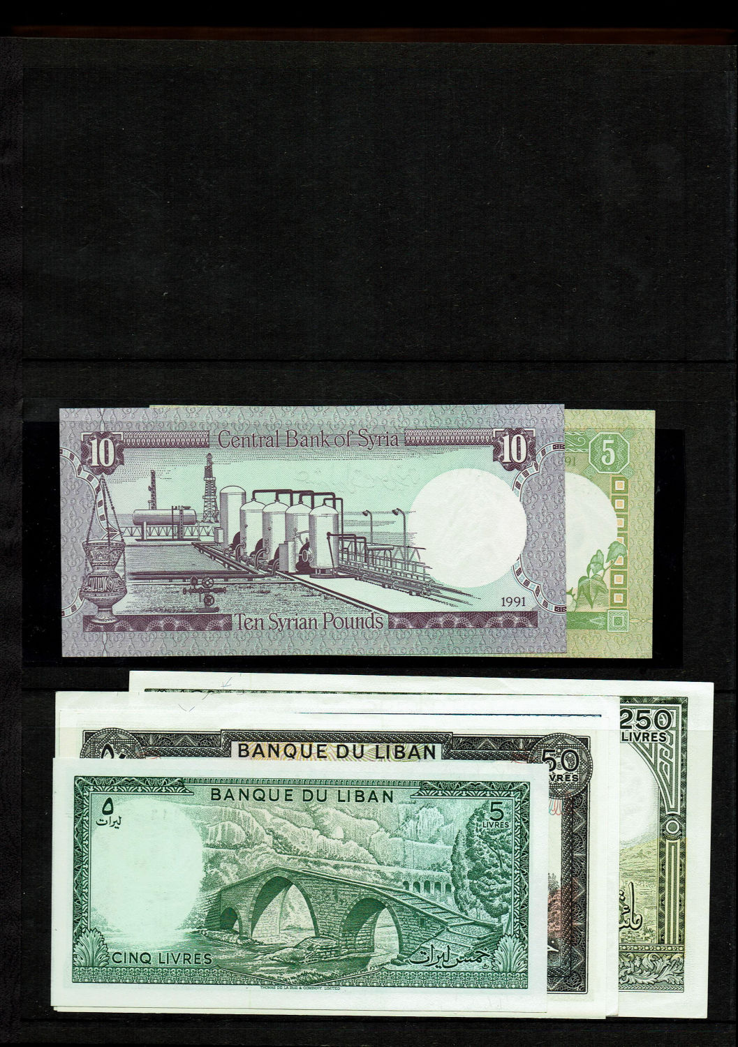 Israel / World - Banknote album containing dozens of banknotes, most of them new (UNC) - from Israel and the world ... - 1 3