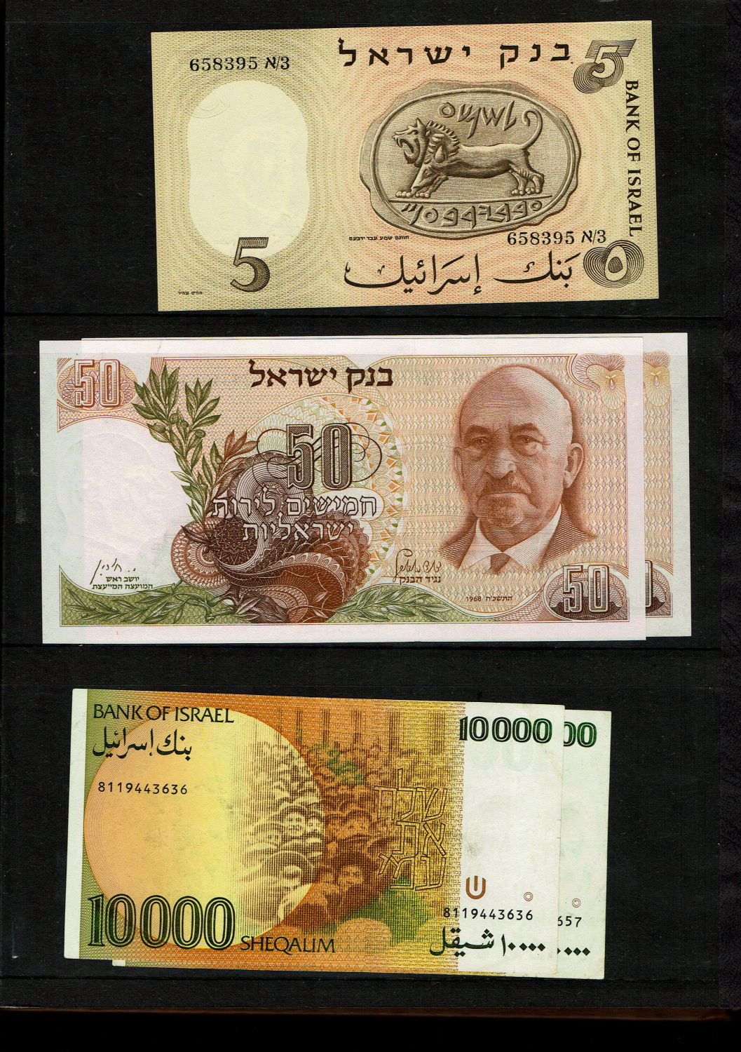 Israel / World - Banknote album containing dozens of banknotes, most of them new (UNC) - from Israel and the world ... - 1 2