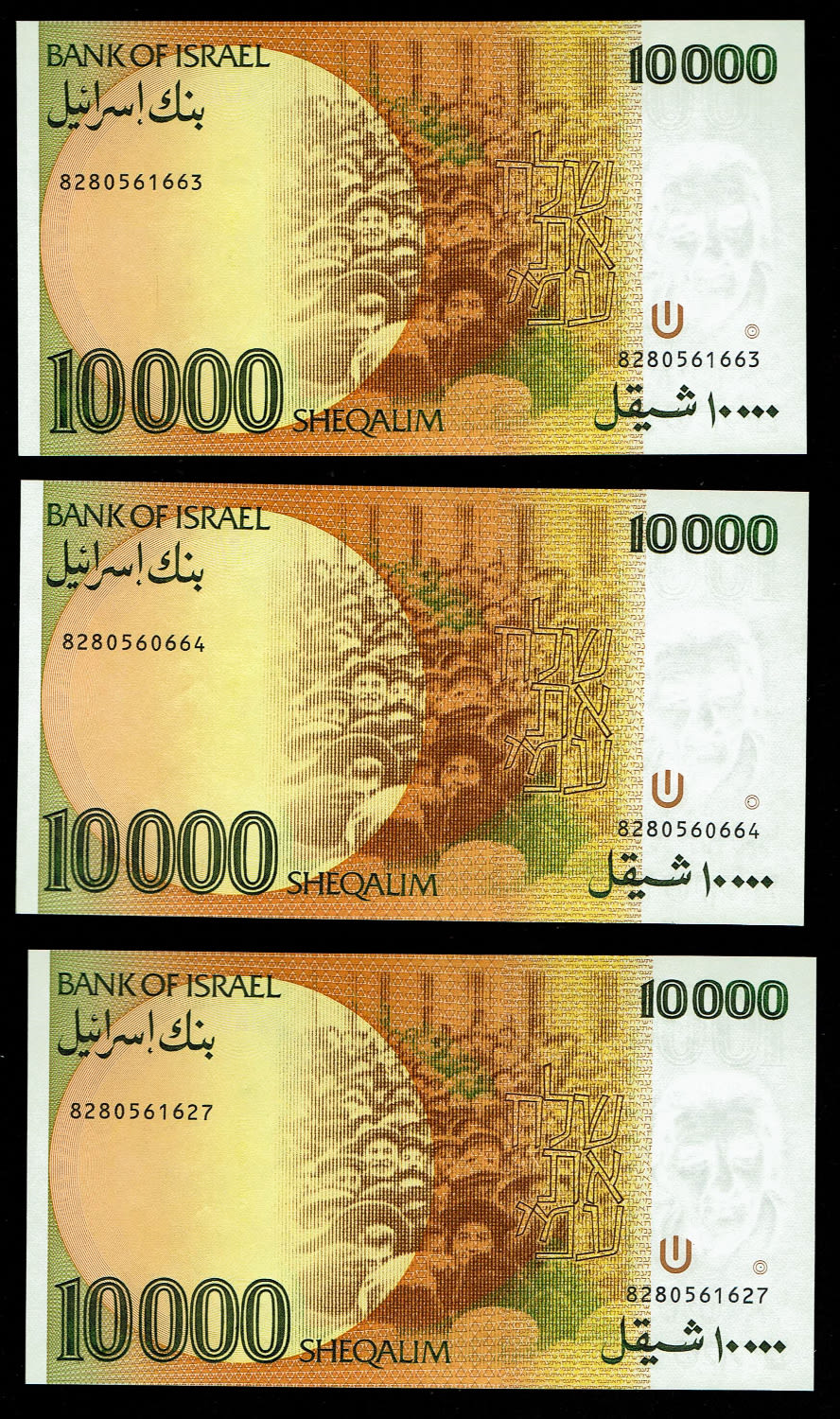 Israel - 5 banknotes of 10,000 Shekels 1984 - UNC - 1 2