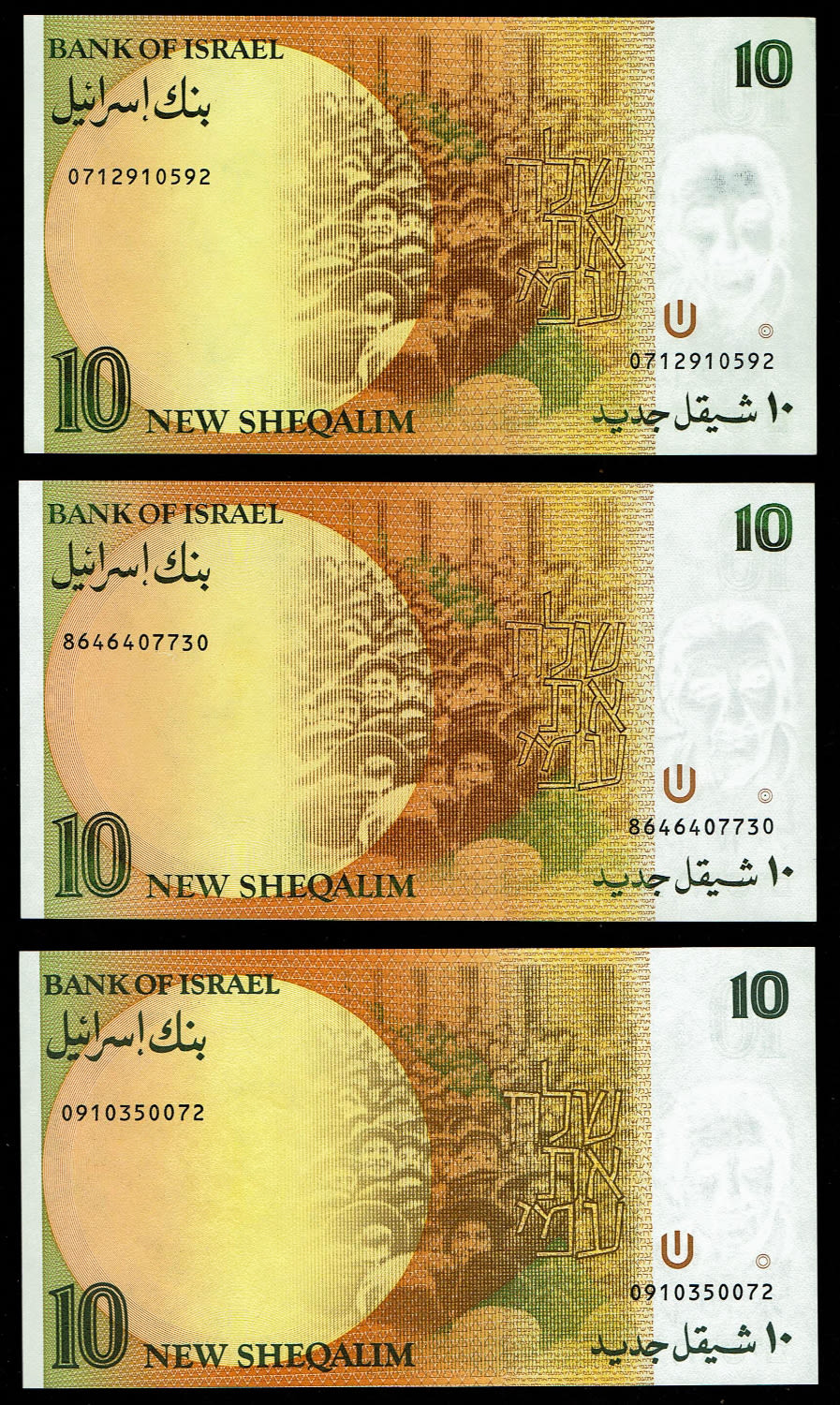 Israel - 12 Banknotes of 1, 5, 10 and 20 shekel 1985, 1986, 1987, 1992, 1993 - UNC - 1 6
