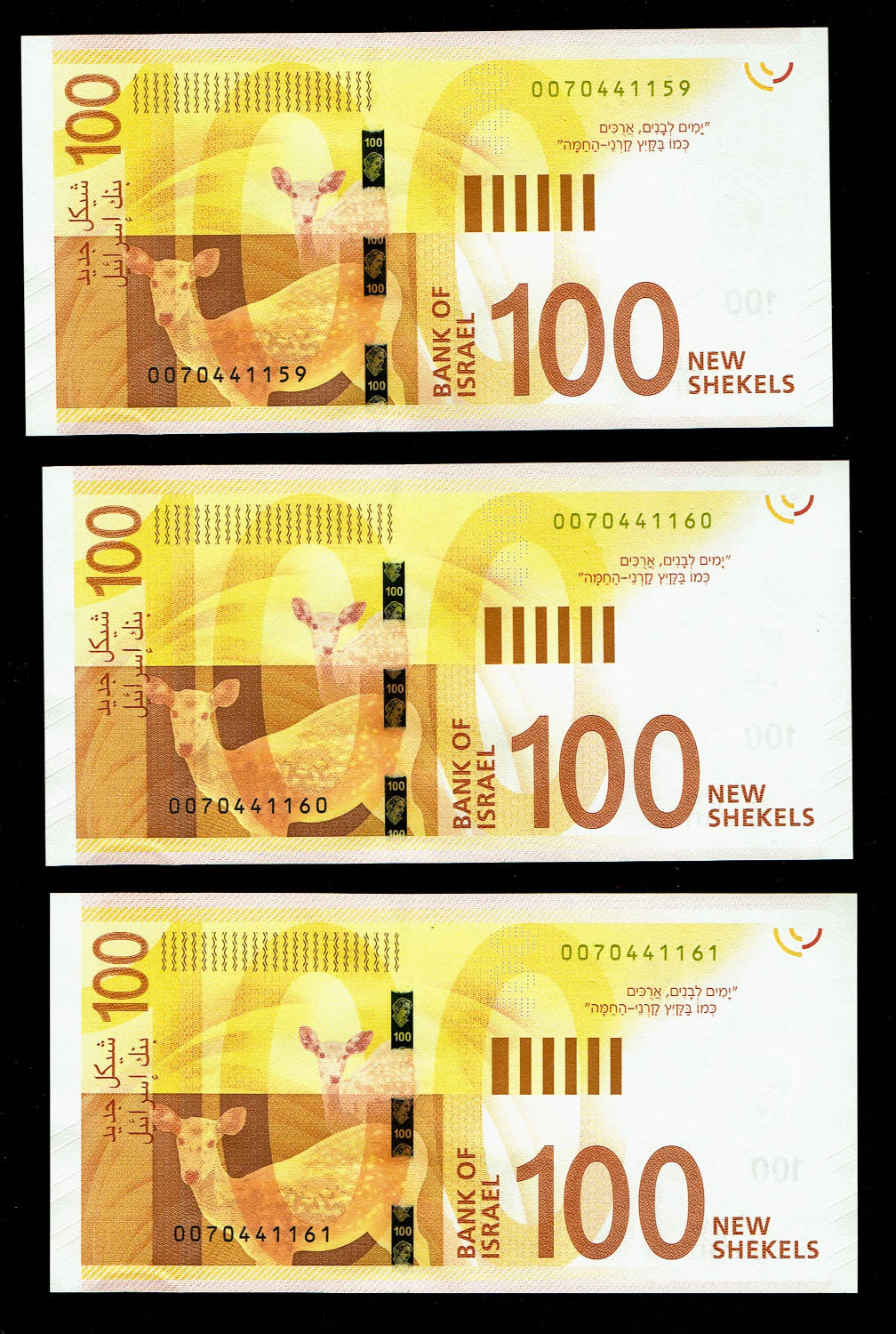 Israel - 3 Banknotes of 100 Shekels 2017 - "New Shekel Series C" - UNC - 1 1