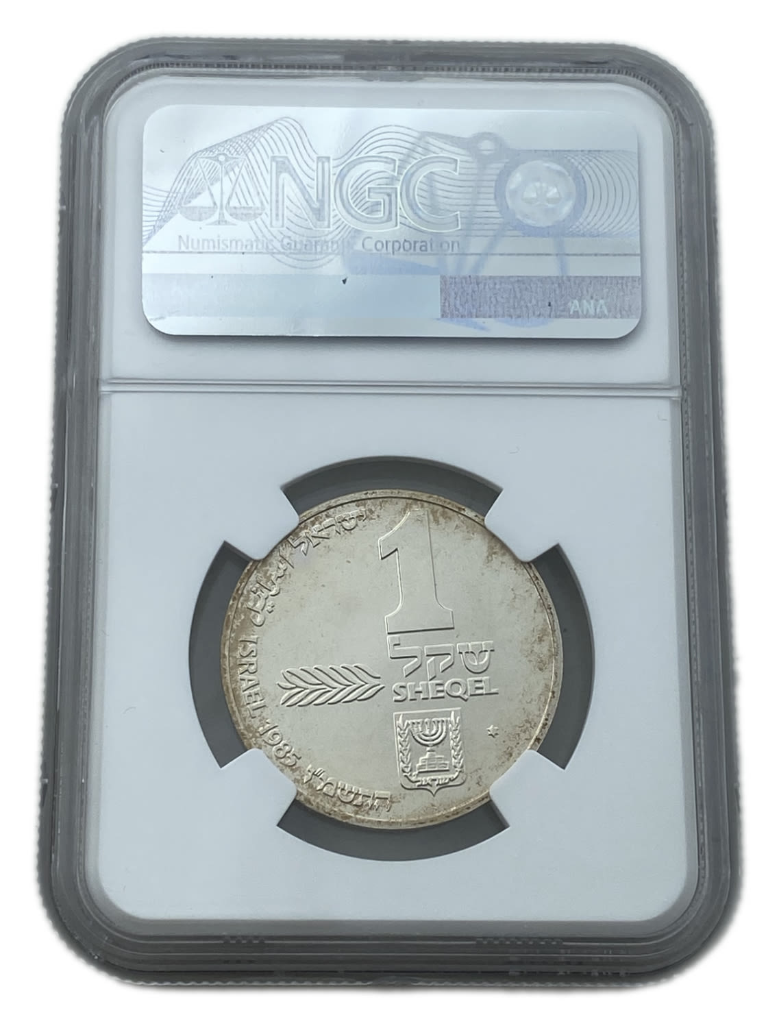 Israel - 1 Shekel 1985 - NGC MS 65 - Hanukka Lamp from Ashkenaz - 1 1