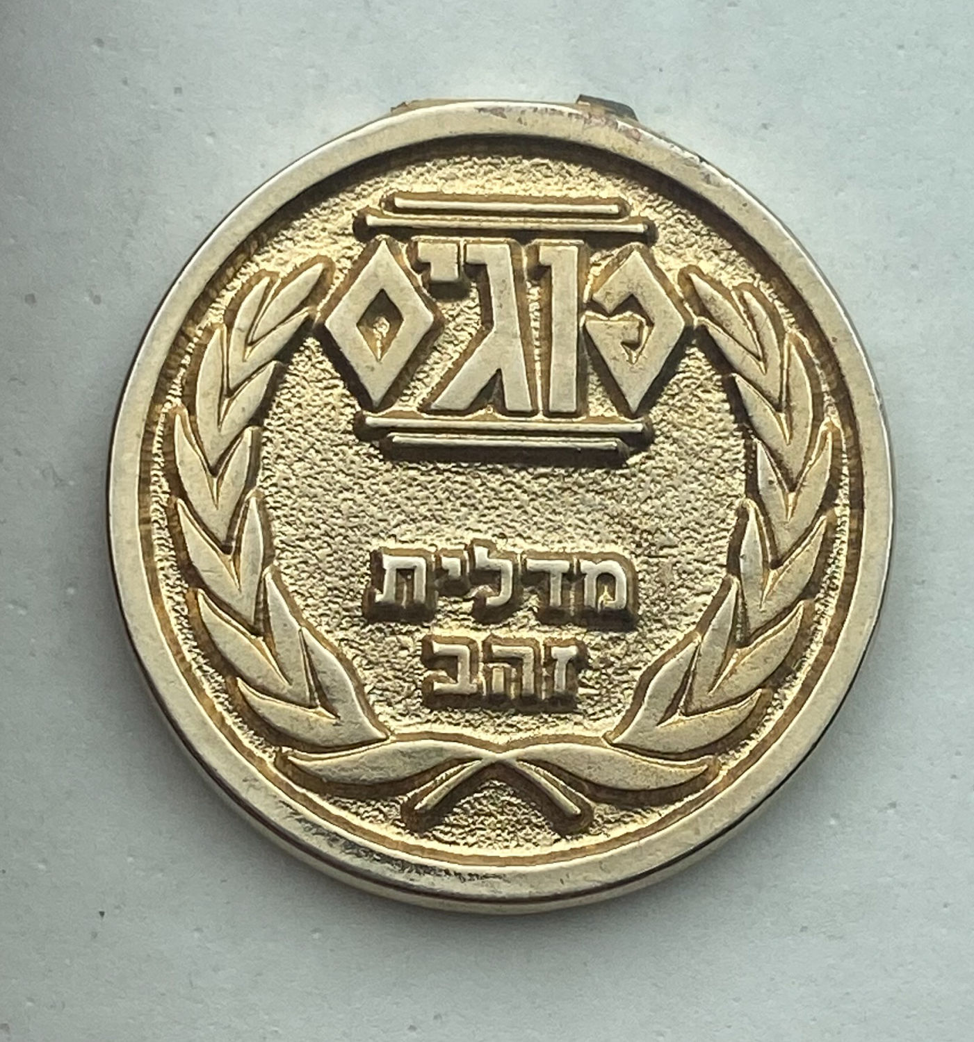 פוגים - מדלית פוגים נדירה, פצץ זהב ללא תופסן, קשה להשגה
המשחק שכבש את ילדי שנות התשעים, מטרת המשחק ... - 1 0