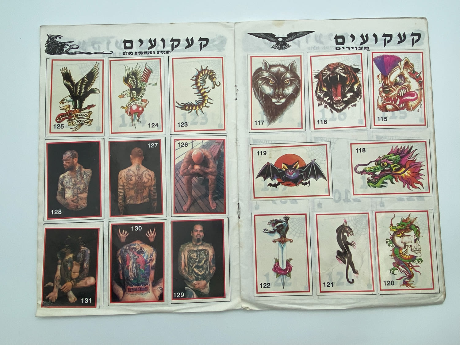 אלבומי מדבקות - אלבום מדבקות "קעקועים", "אלבום מדבקות לאמיצים" - 100% מלא - נדיר להשגה וכל שכן כאשר הוא מלא ... - 1 1