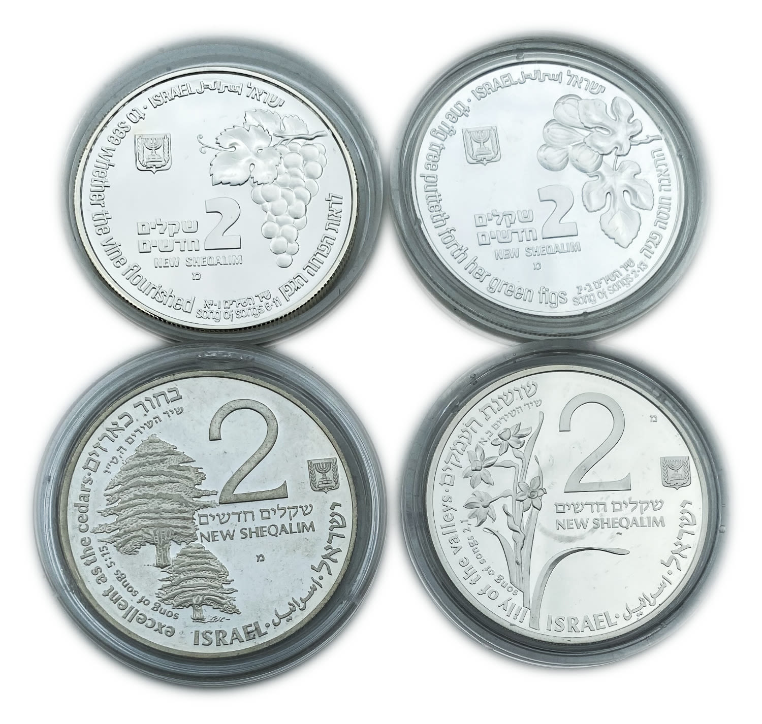 Israel - Lot of 4 coins 2 shekels 1991, 1992, 1995, 1996 - on the subject of the Song of songs "Shoshanat HaEmakim" ... - 1 0