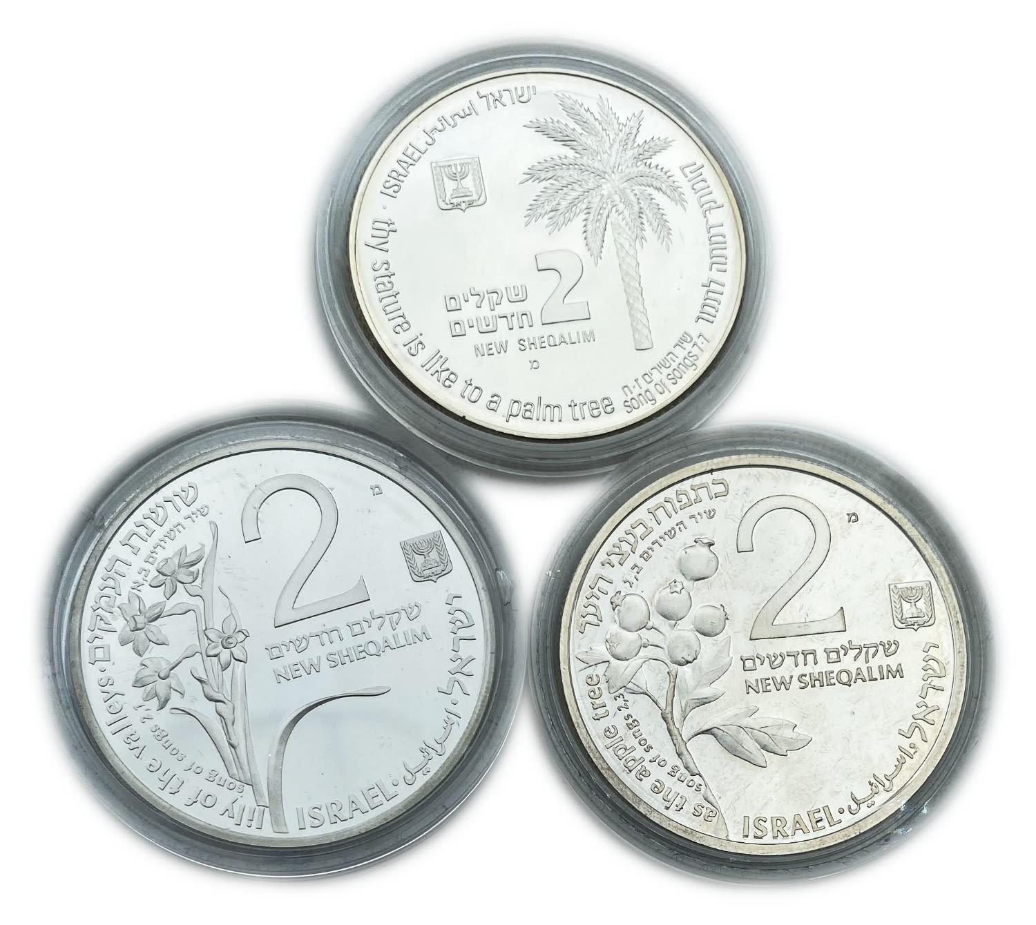 Israel - Lot of 3 coins 2 shekels 1992, 1993, 1994 - on the subject of the Song of the Songs "To Ofer the Rams" ... - 1 0