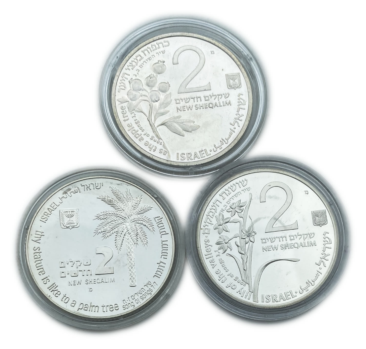 Israel - Lot of 3 coins 2 shekels 1992, 1993, 1994 - on the subject of the Song of the Songs "To Ofer the Rams" ... - 1 0