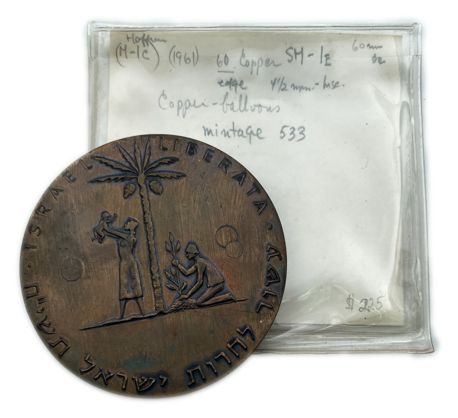 Israel - Liberal Judea Medal 1958 - Plags
The Liberation I medal is Israel's first State medal ... - 1 3