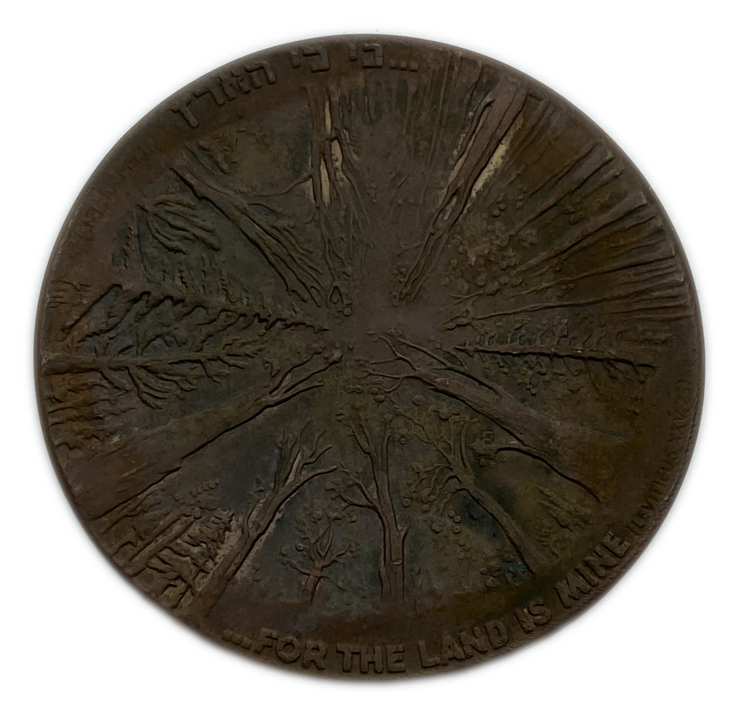 Israel - Medal, JNF 1971 - Trial / Sample Version - Extremely Rare - 41.41g, 45mm
Apparently ... - 1 1