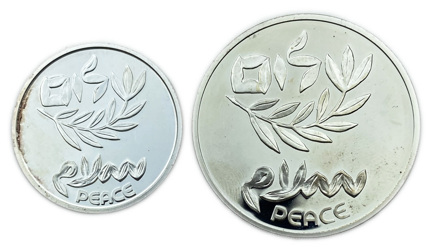 Israel - Pair of 2 coins, Israel among the Nations, Special Coin 1995 - Silver 925, 14.4g, 28.8g, 30mm ... - 1 1