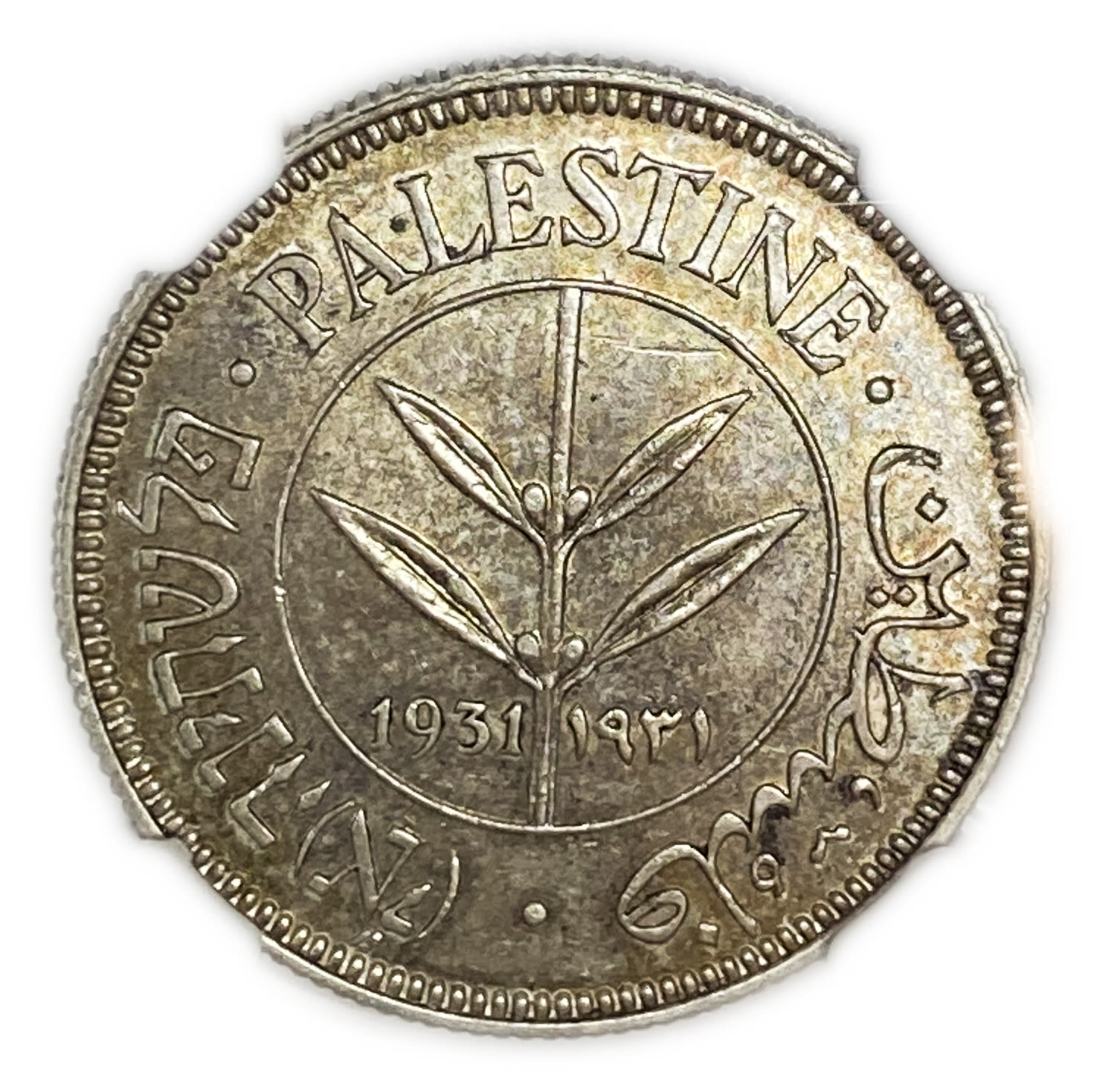 Palestine - 50 Mils 1931 - NGC 63 - UNC - Rare
The second most rare coin in a UNC condition from the ... - 1 0