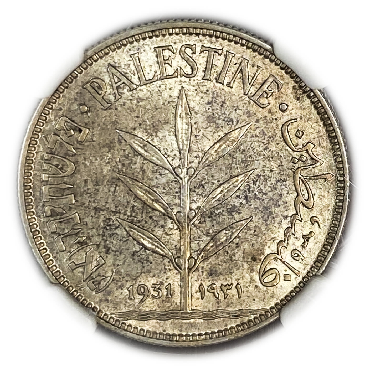 Palestine - 100 Mils 1931 - NGC 61 - UNC - Very Rare
The hardest coin to get in a UNC condition ... - 1 0