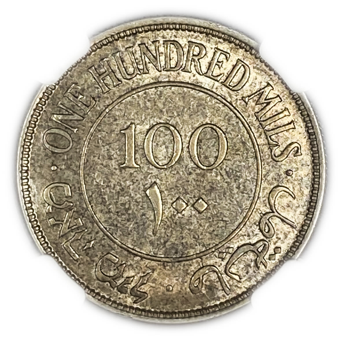 Palestine - 100 Mils 1931 - NGC 61 - UNC - Very Rare
The hardest coin to get in a UNC condition ... - 1 1