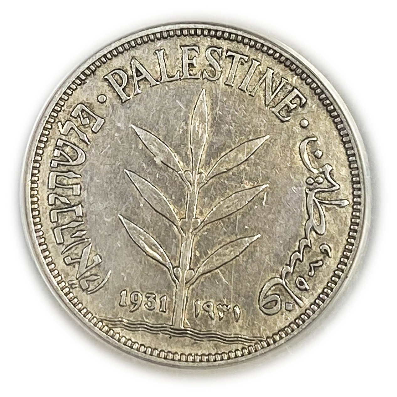 Palestine - 100 Mils 1931 -Graded at ANACS 50 DETAILS - KEY DATE
Mil, was the Hebrew name of the coin ... - 1 0