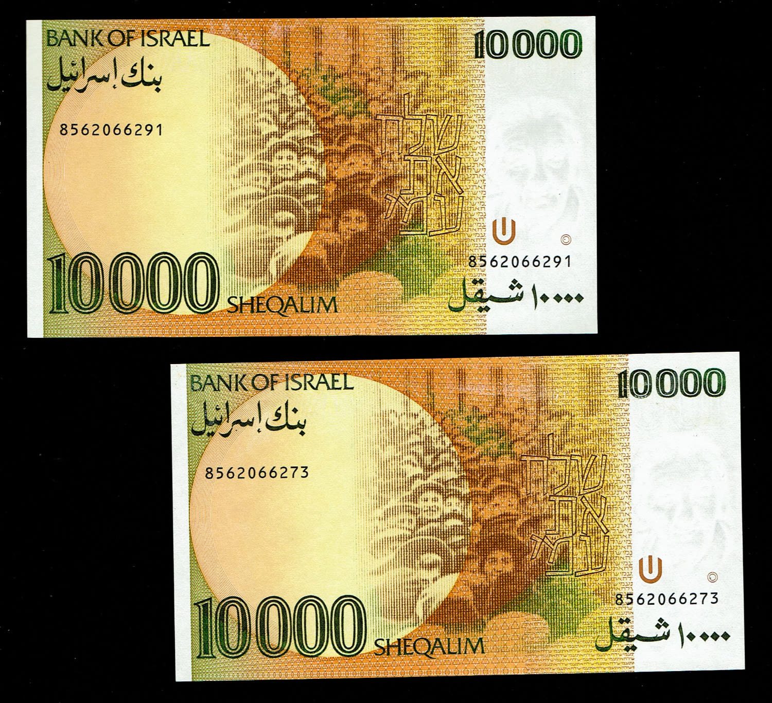 Israel - Pair banknotes of 10,000 Shekels 1984 - Consecutive serial numbers - UNC
The shekel series ... - 1 1