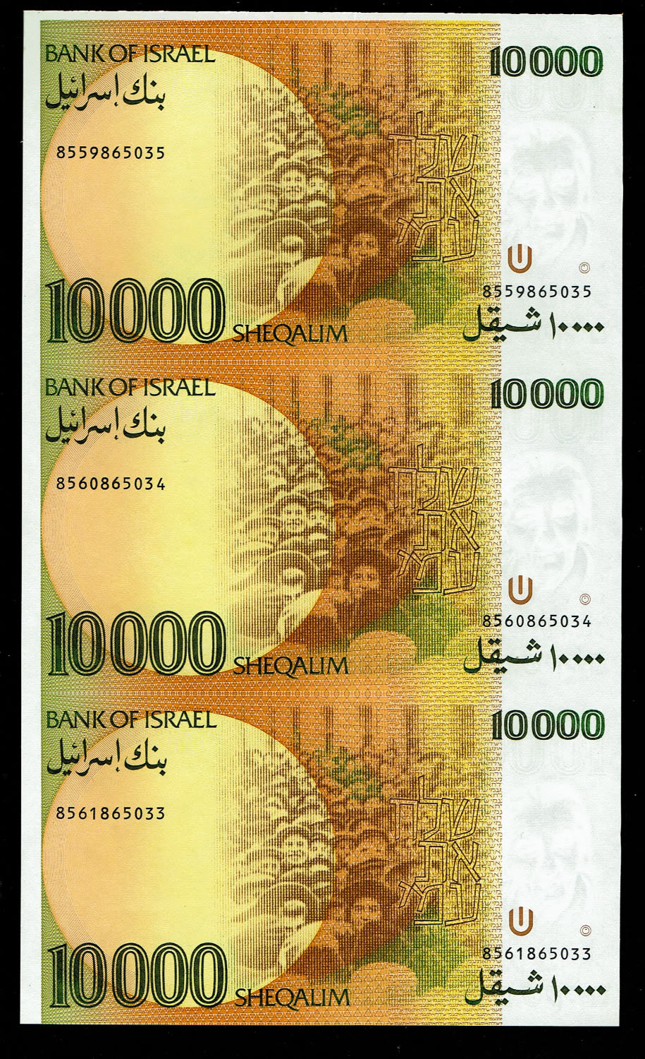 Israel - Sheet 10,000 Shekels 1984
The shekel series replaced the Israeli pound and includes nine ... - 1 1
