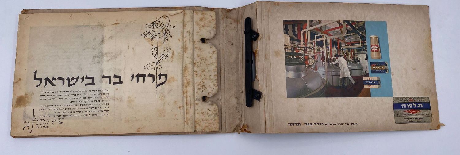 אלבומי מדבקות - אלבום מדבקות פרחי בר בישראל, אלבום מלא
פרחי בר בישראל מבצע גולד בנד תלמה בחסות רשות ... - 1 1
