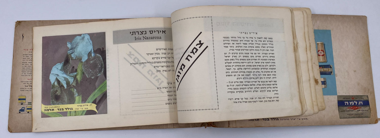 אלבומי מדבקות - אלבום מדבקות פרחי בר בישראל, אלבום מלא
פרחי בר בישראל מבצע גולד בנד תלמה בחסות רשות ... - 1 4