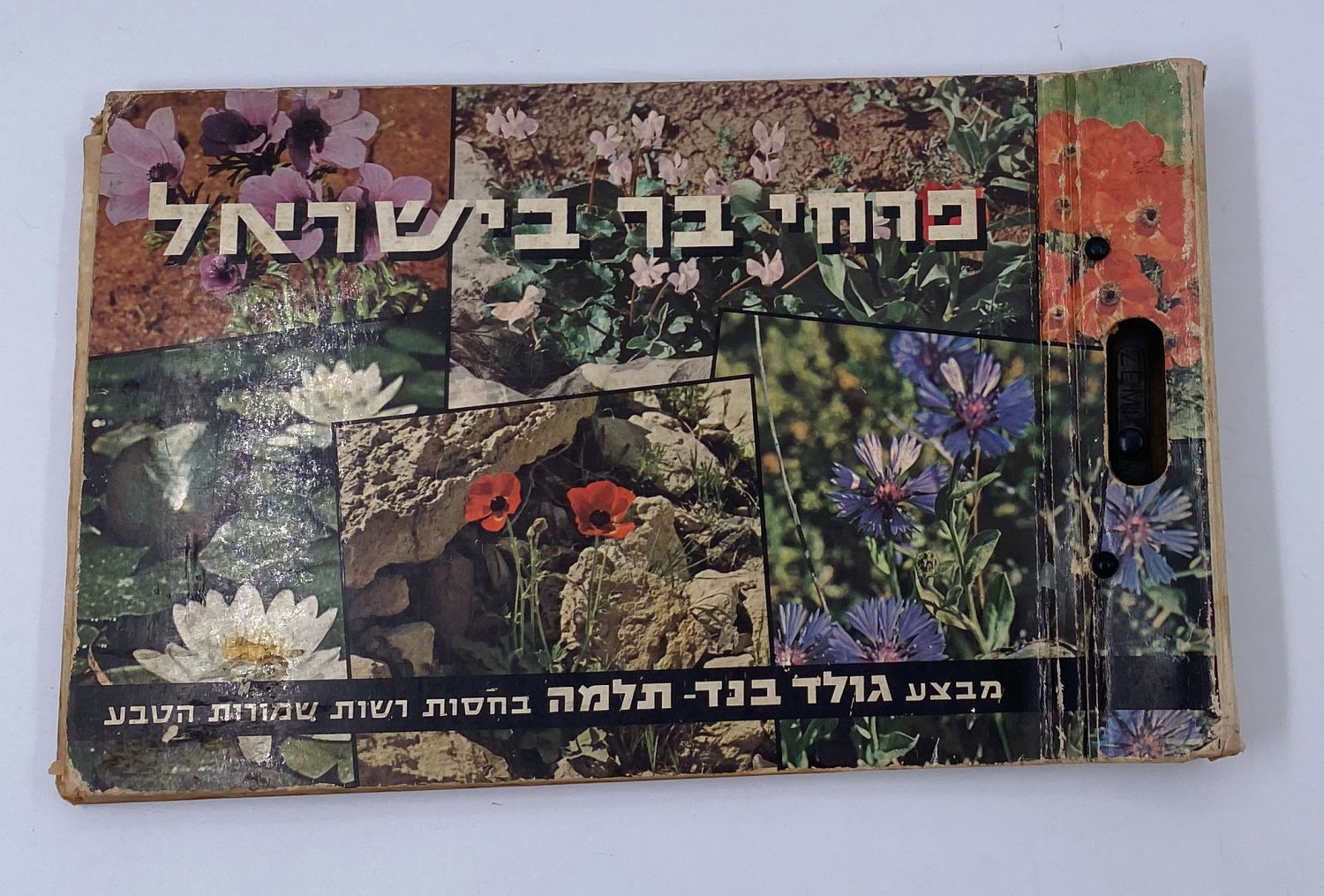 אלבומי מדבקות - אלבום מדבקות פרחי בר בישראל, אלבום מלא
פרחי בר בישראל מבצע גולד בנד תלמה בחסות רשות ... - 1 0