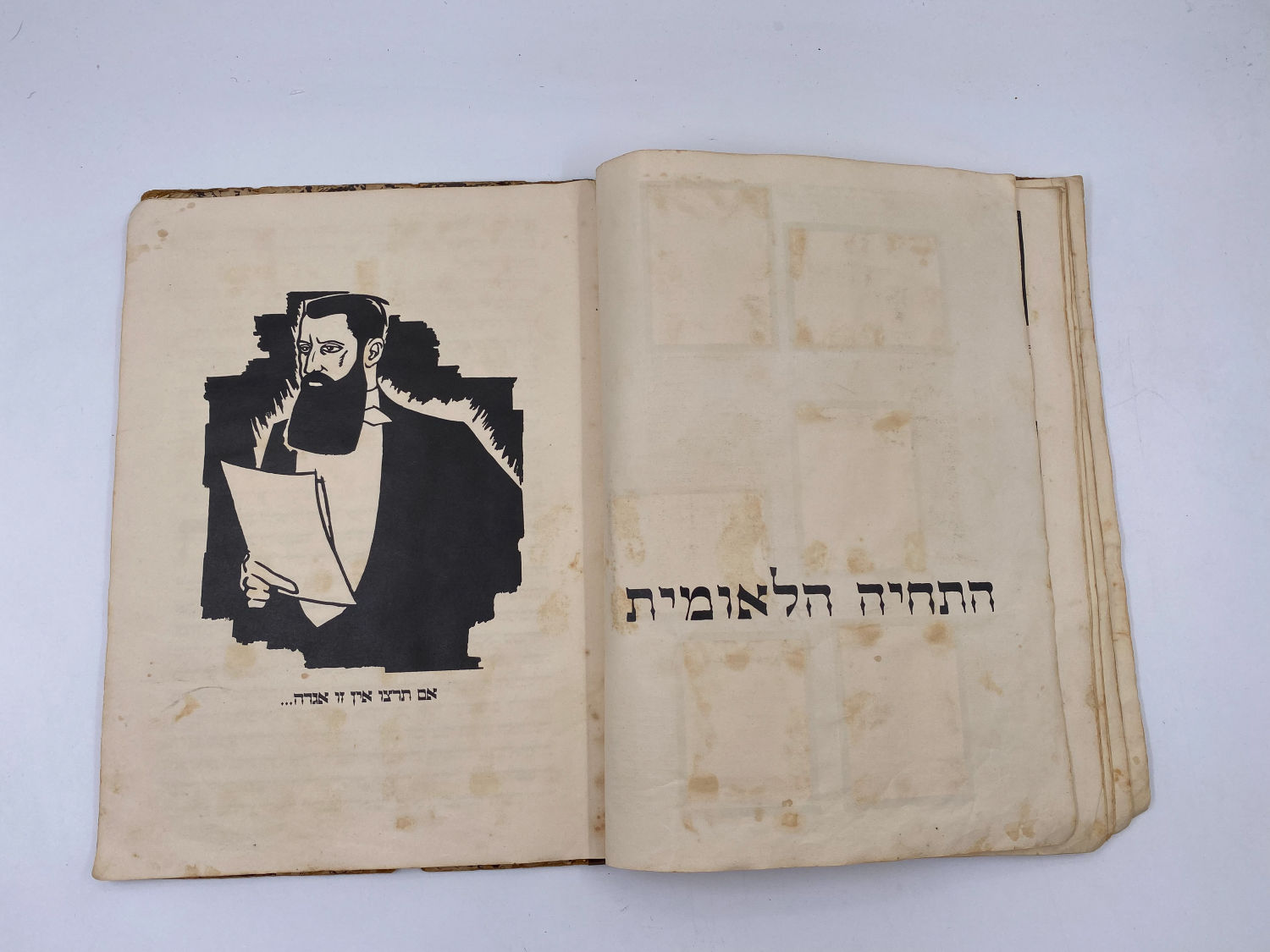 אלבומי מדבקות - אלבום תמונות לדברי ימי ישראל - שנות ה-30 פלשתינה - ארץ ישראל הוצאת האחים מספרו - בית חרושת ... - 1 20