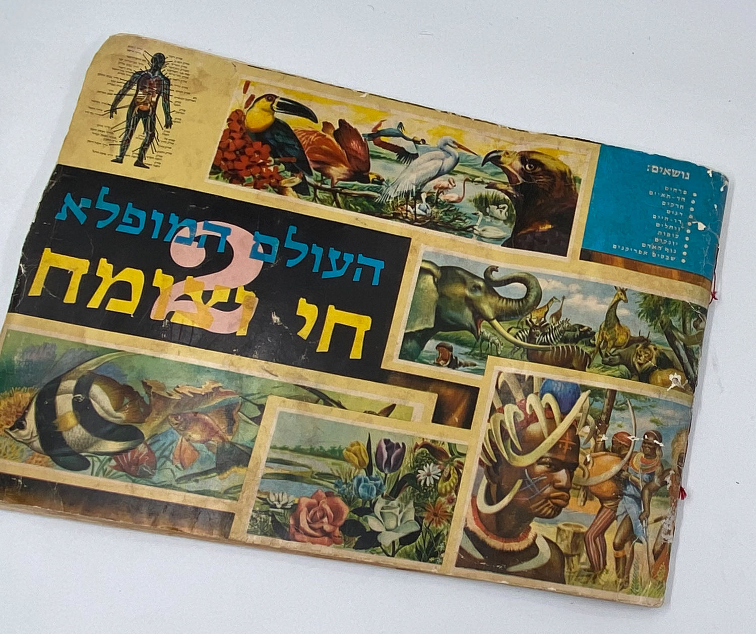 אלבומי מדבקות - אלבום העולם המופלא מס' 2 "חי וצומח" - שנות השבעים - מלא
אלבום כרטיסים העולם המופלא, מס' ... - 1 18