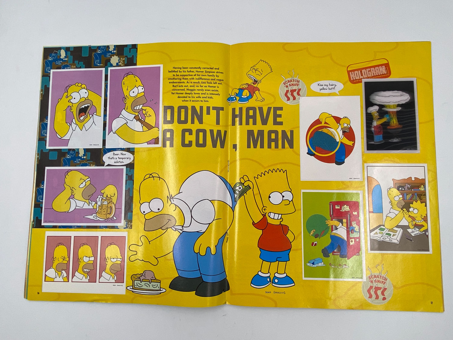 אלבומי מדבקות - הסימפסונים, "2 The Simpsons - The Springfield Collection", אנגלית - מלא
משפחת סימפסון ... - 1 4