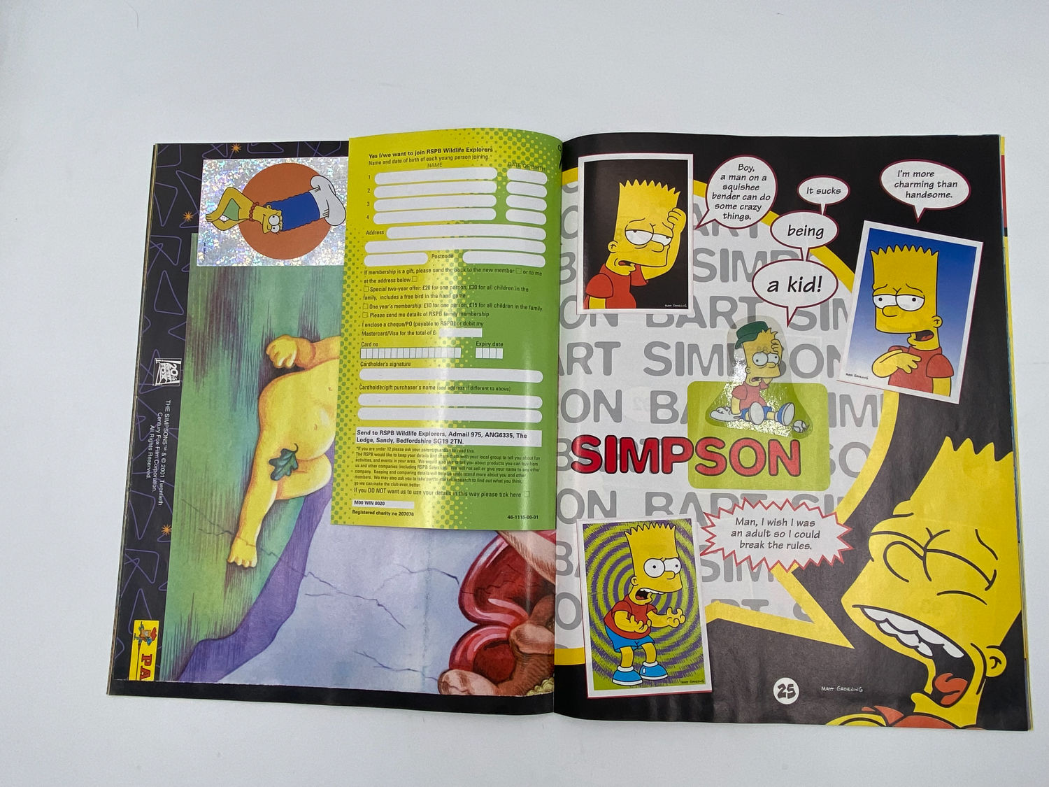 אלבומי מדבקות - הסימפסונים, "3 The Simpsons - The Springfield Collection", אנגלית - מלא
משפחת סימפסון ... - 1 8