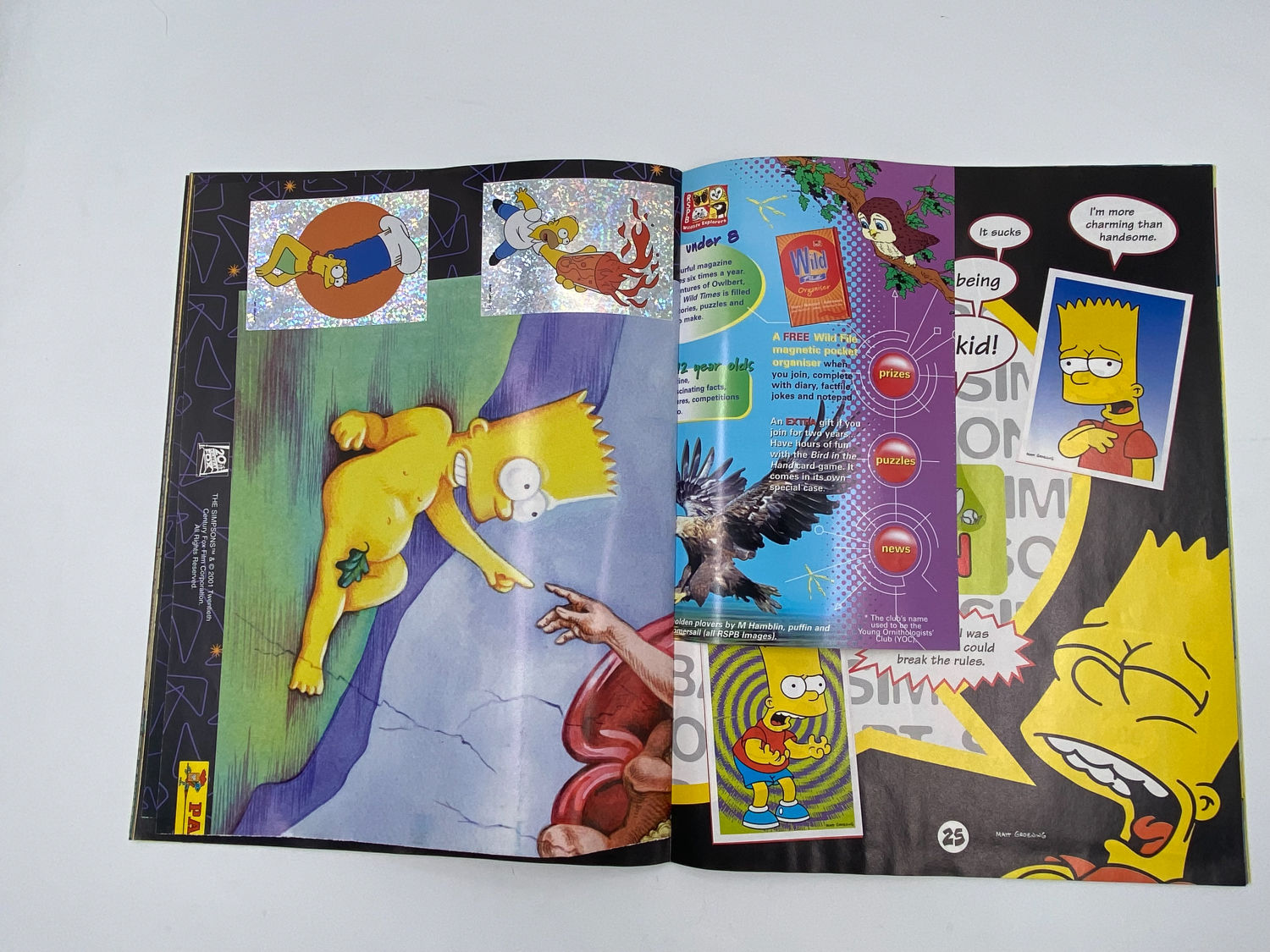 אלבומי מדבקות - הסימפסונים, "3 The Simpsons - The Springfield Collection", אנגלית - מלא
משפחת סימפסון ... - 1 7