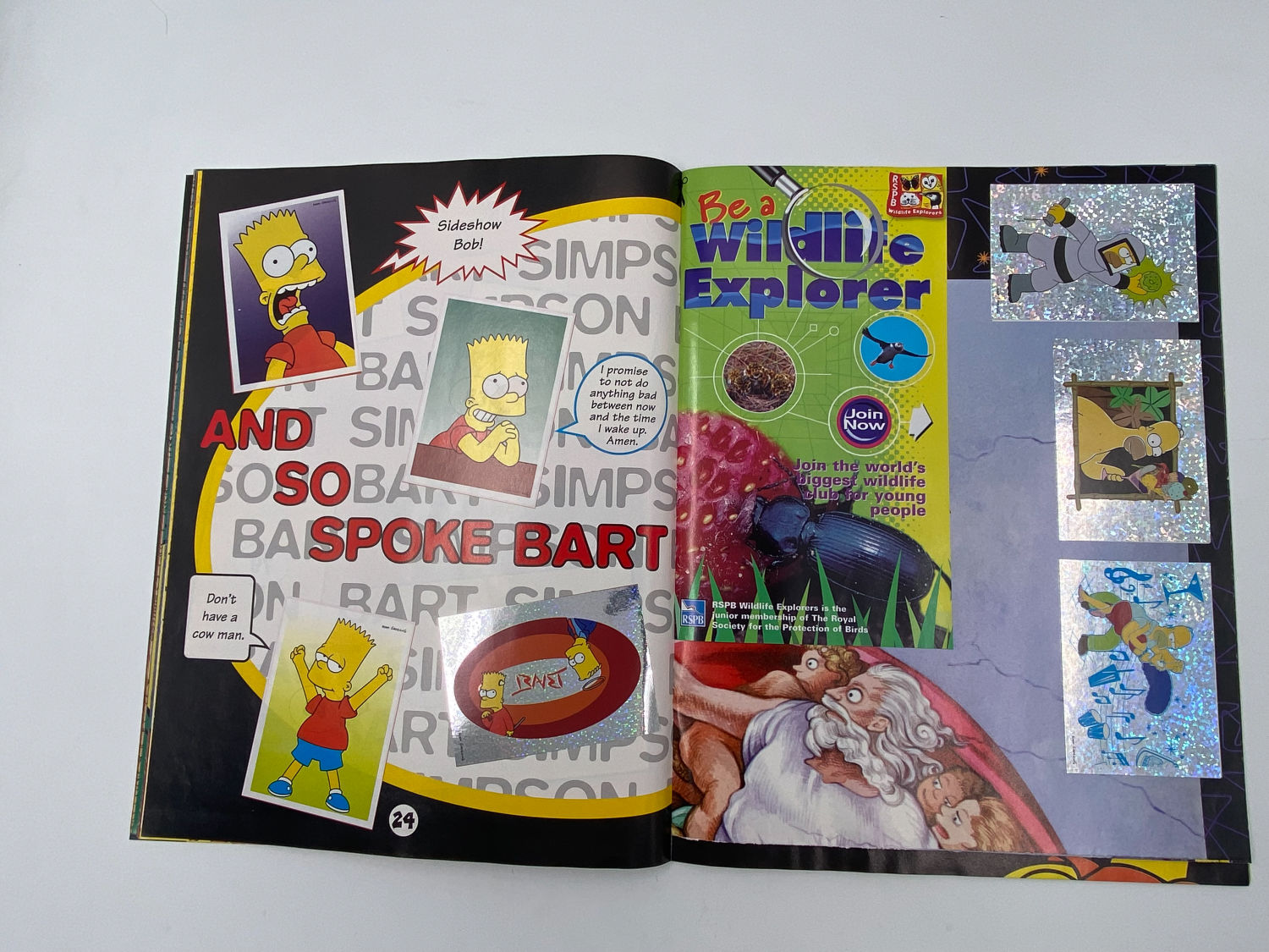 אלבומי מדבקות - הסימפסונים, "3 The Simpsons - The Springfield Collection", אנגלית - מלא
משפחת סימפסון ... - 1 5