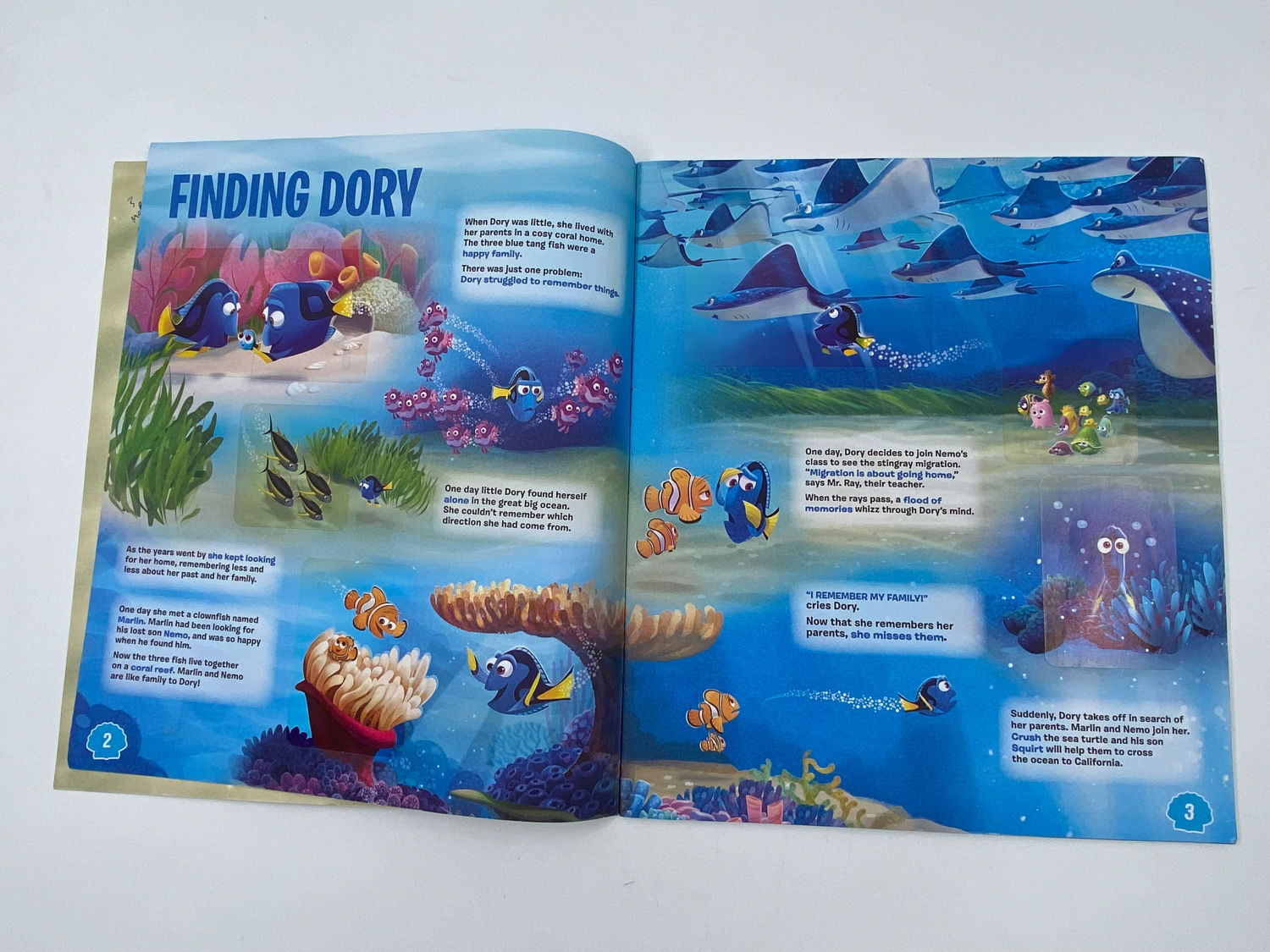 אלבומי מדבקות - אלבום מדבקות מוצאים את דורי, "Finding Dory", אנגלית - מלא
מוצאים את דורי (באנגלית: ... - 1 15