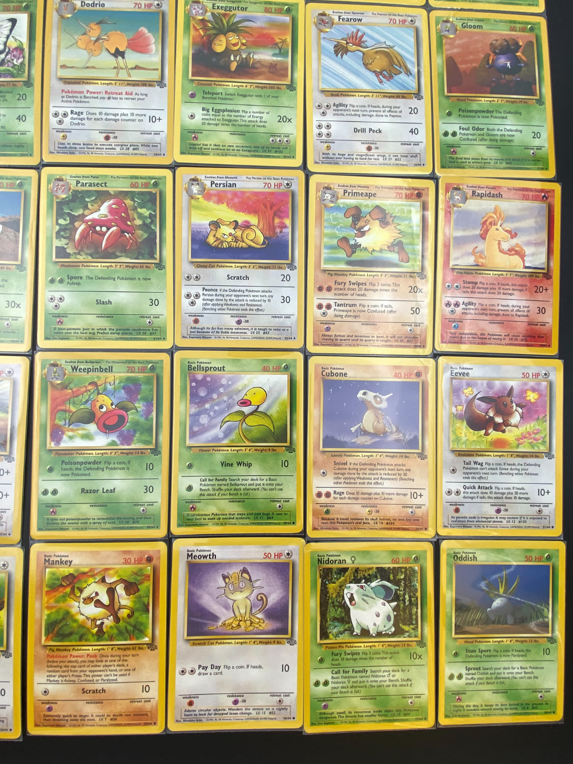 קלפי איסוף - סט שלם של קלפי פוקימון Jungle, כולל 16 Holographic cards, מצבים NM-M - כל הקלפים שמורים בsleeves ... - 1 37