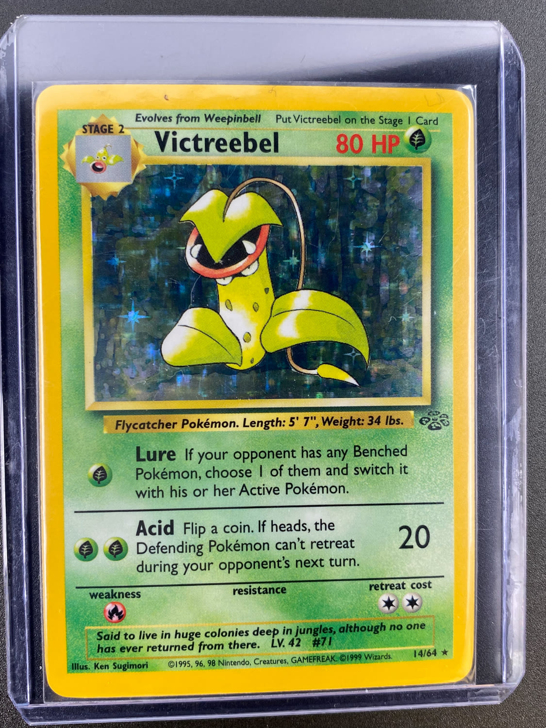 קלפי איסוף - סט שלם של קלפי פוקימון Jungle, כולל 16 Holographic cards, מצבים NM-M - כל הקלפים שמורים בsleeves ... - 1 27