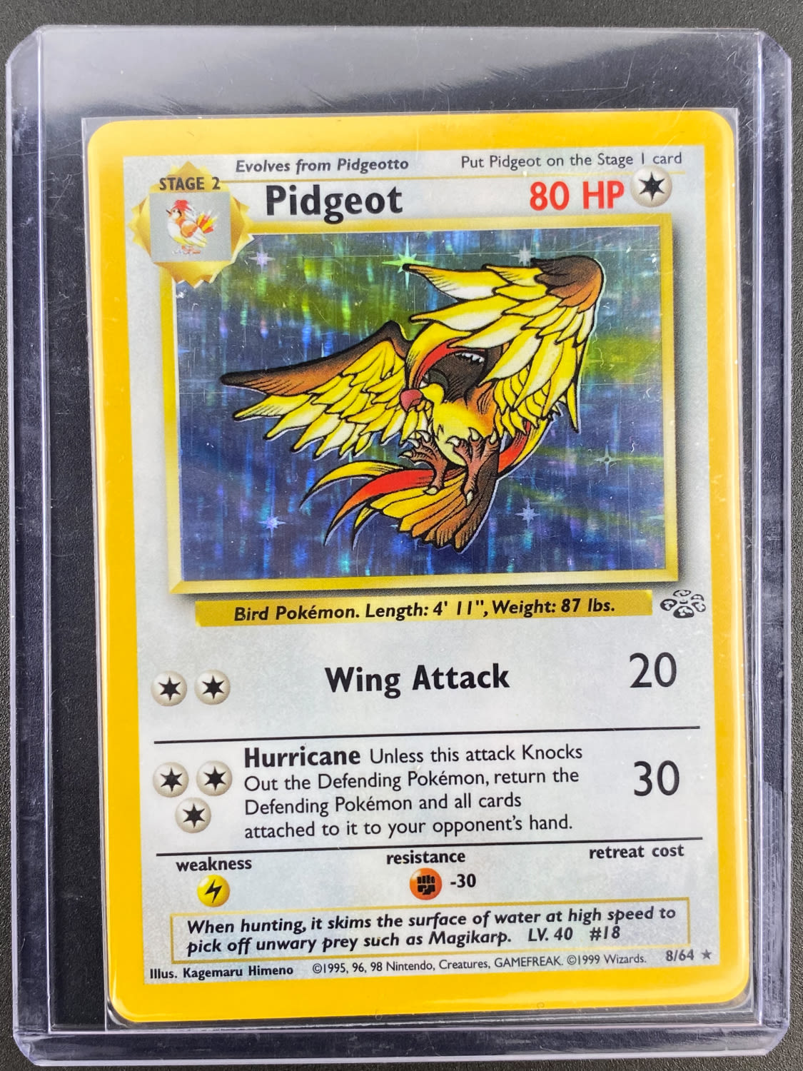 קלפי איסוף - סט שלם של קלפי פוקימון Jungle, כולל 16 Holographic cards, מצבים NM-M - כל הקלפים שמורים בsleeves ... - 1 15